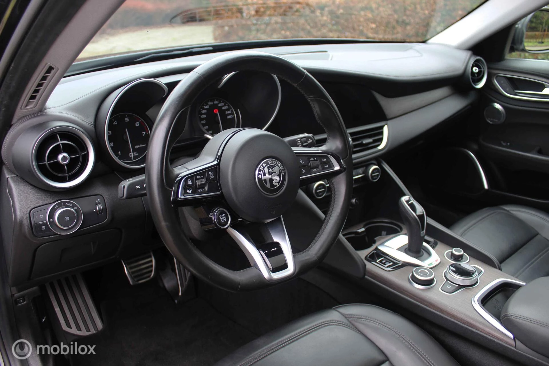 Hoofdafbeelding Alfa Romeo Giulia