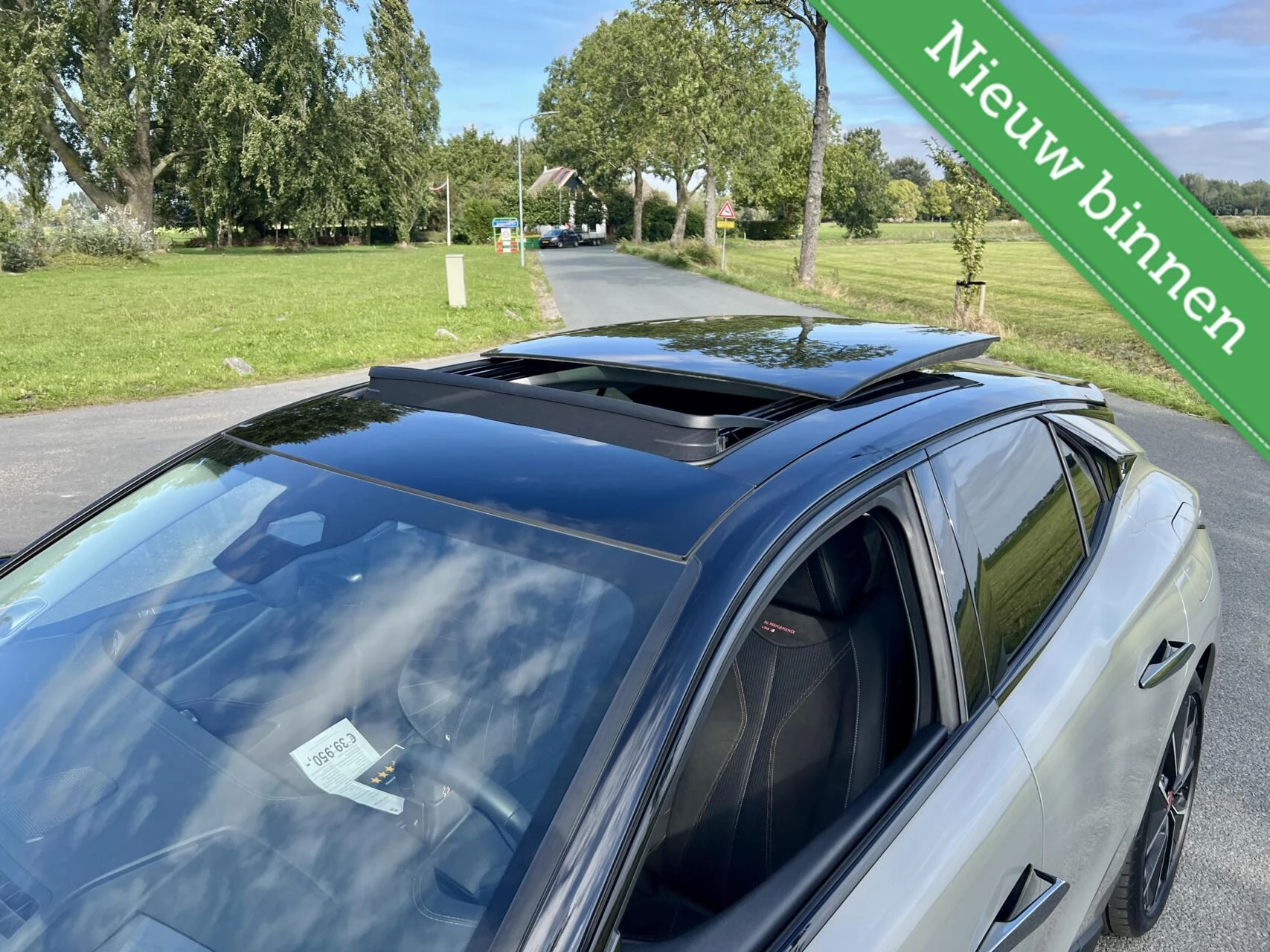 Hoofdafbeelding DS DS 4