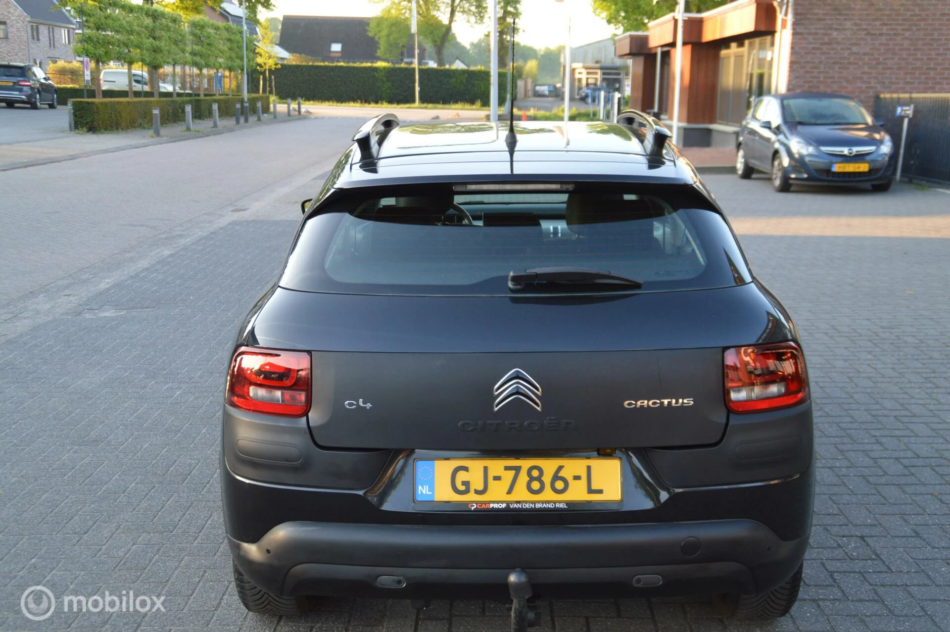 Hoofdafbeelding Citroën C4 Cactus