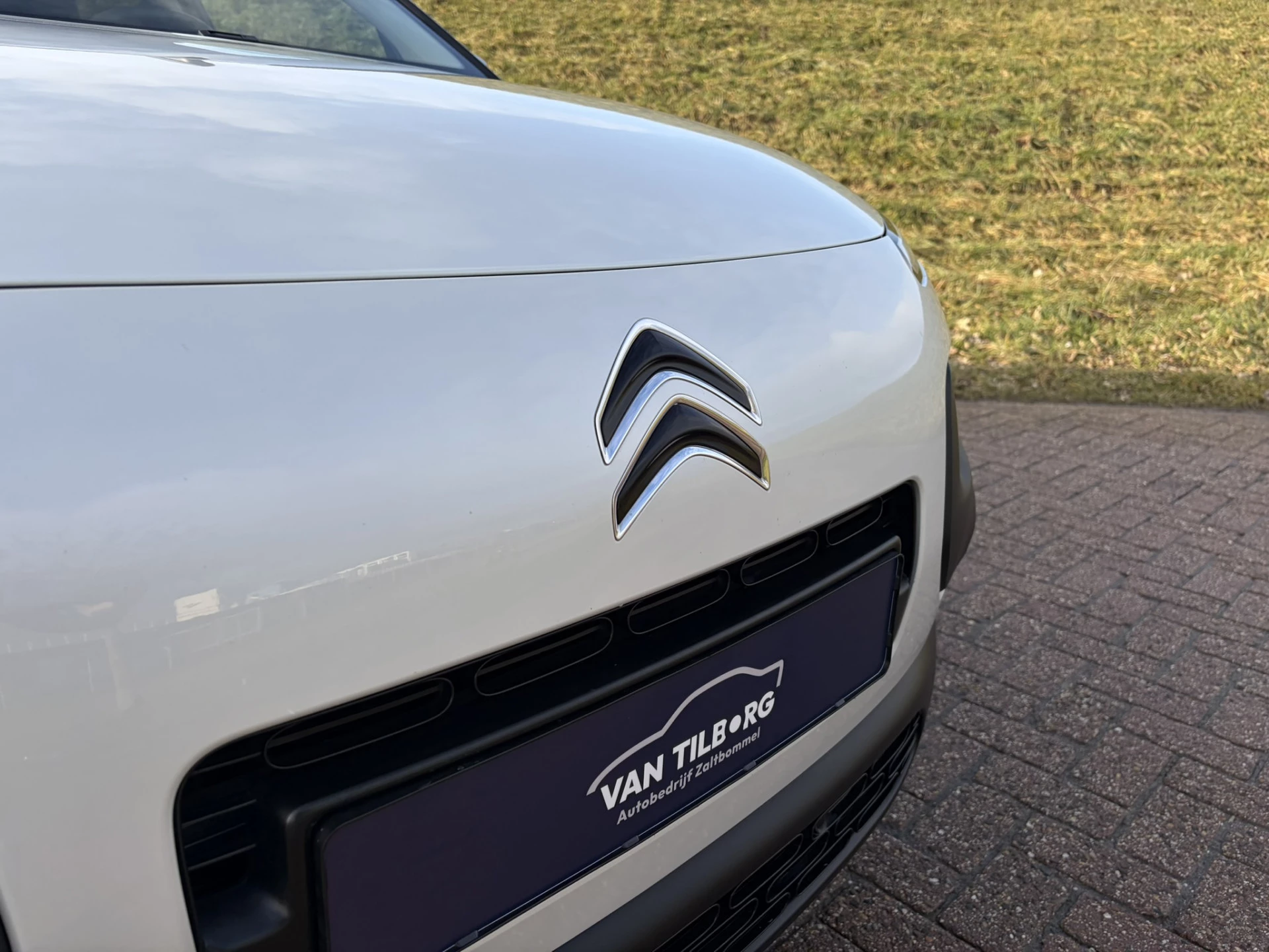 Hoofdafbeelding Citroën C4 Cactus