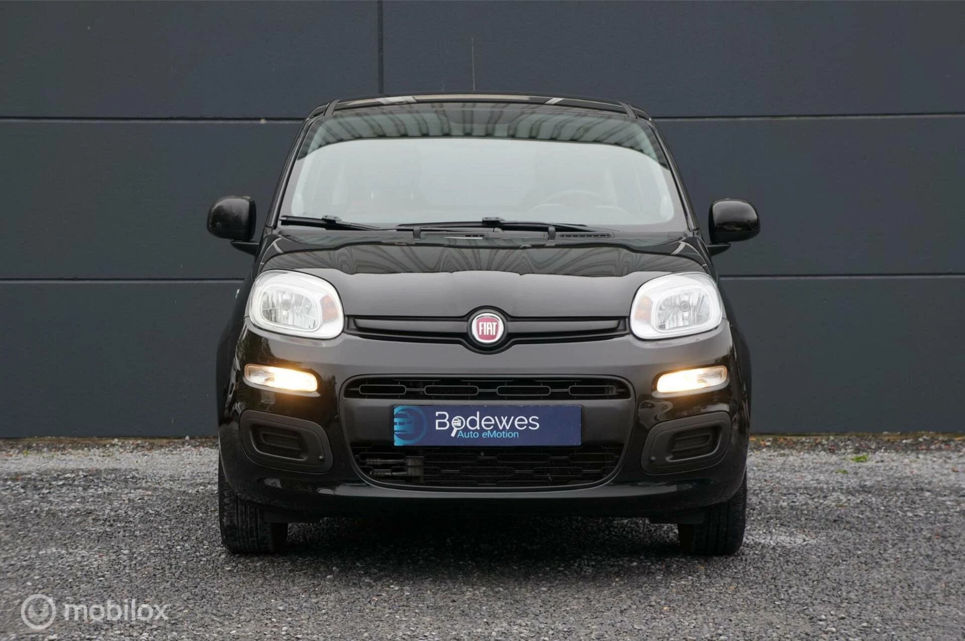 Hoofdafbeelding Fiat Panda