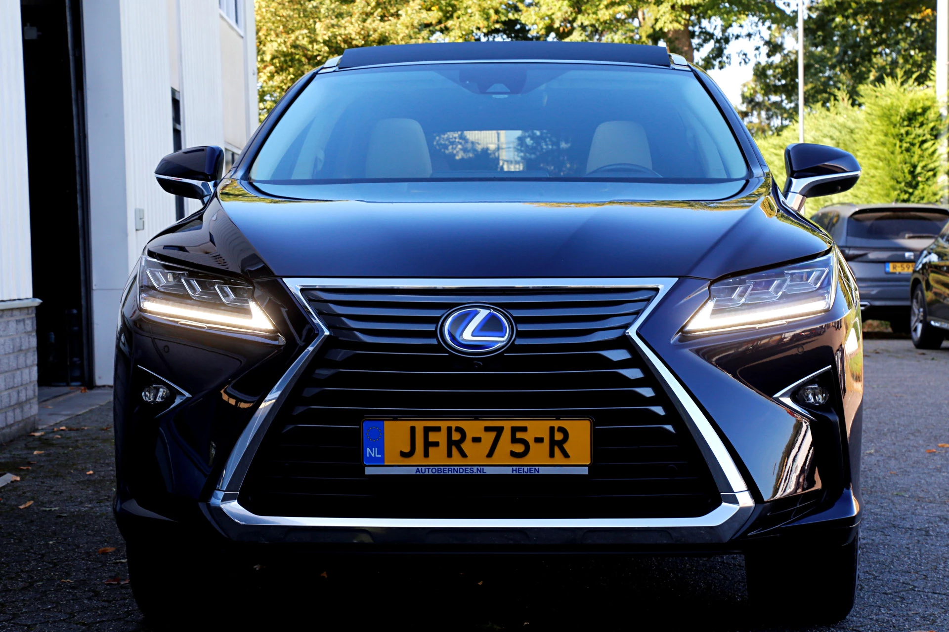 Hoofdafbeelding Lexus RX