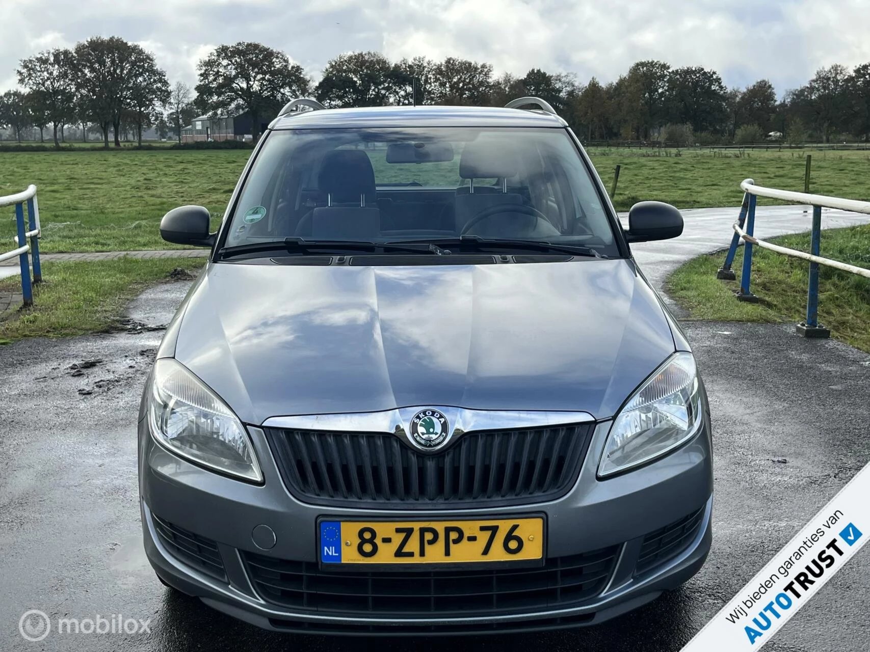 Hoofdafbeelding Škoda Fabia