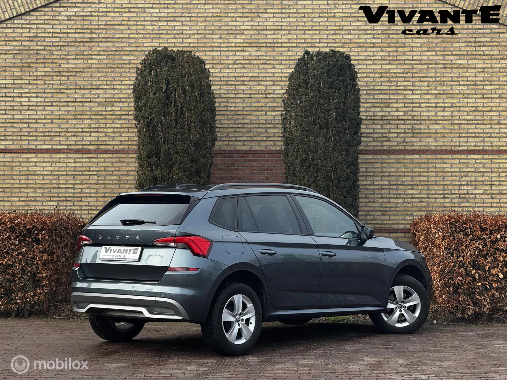 Hoofdafbeelding Škoda Kamiq