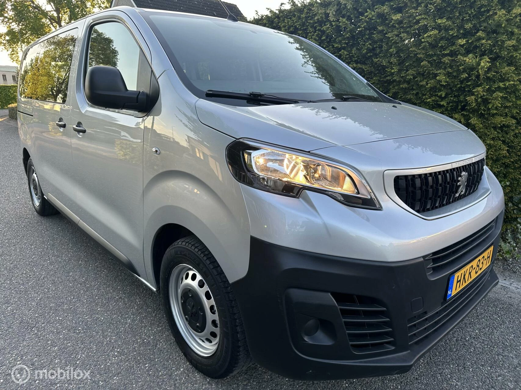 Hoofdafbeelding Peugeot Expert