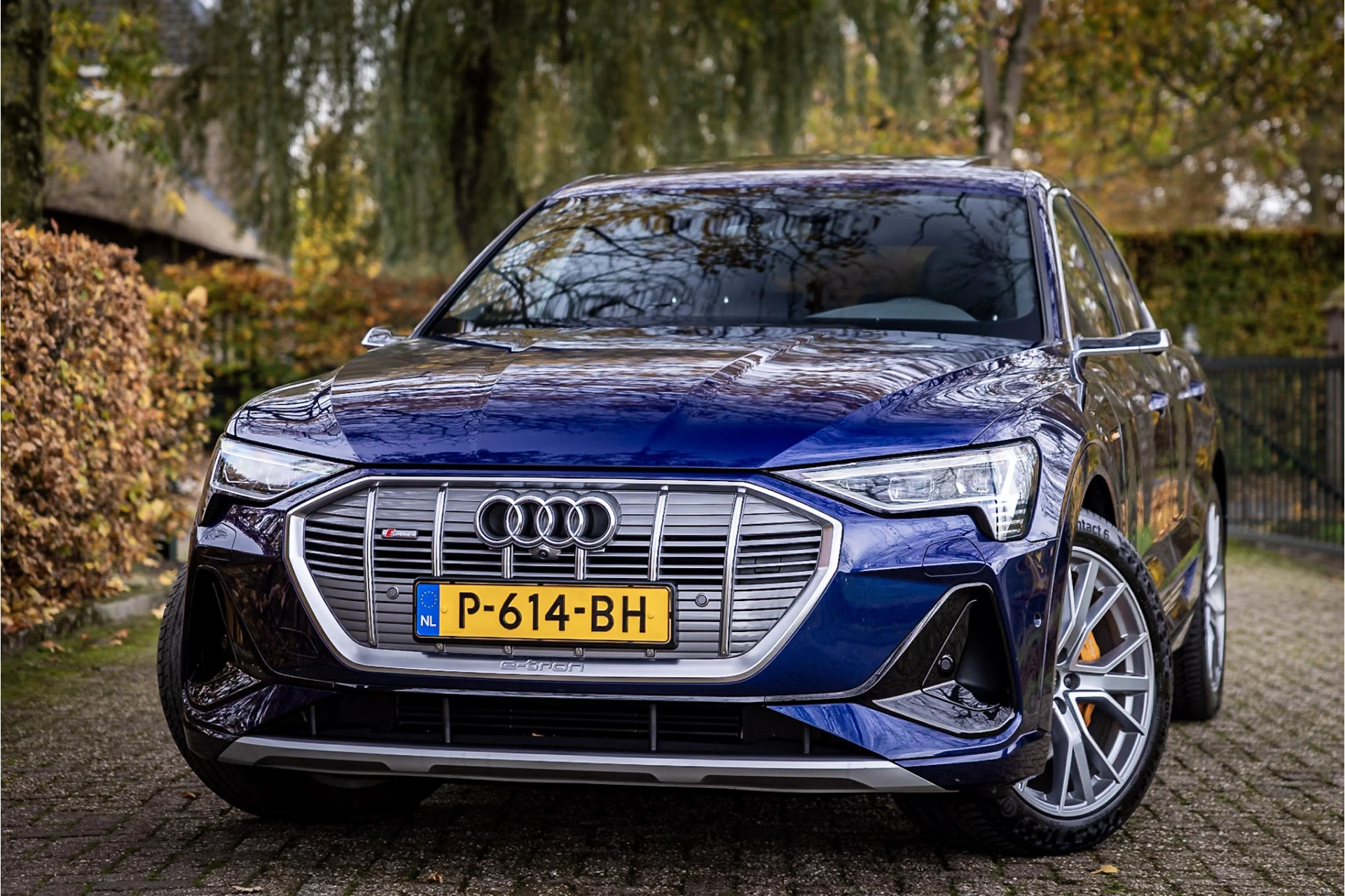 Hoofdafbeelding Audi e-tron