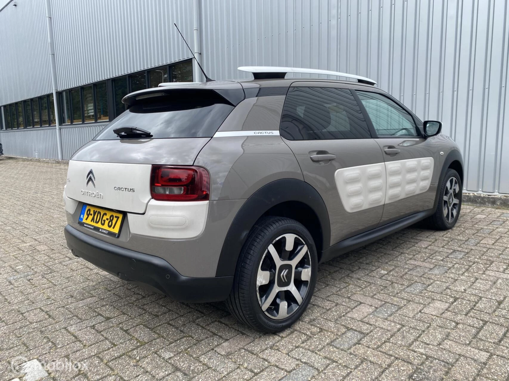 Hoofdafbeelding Citroën C4 Cactus