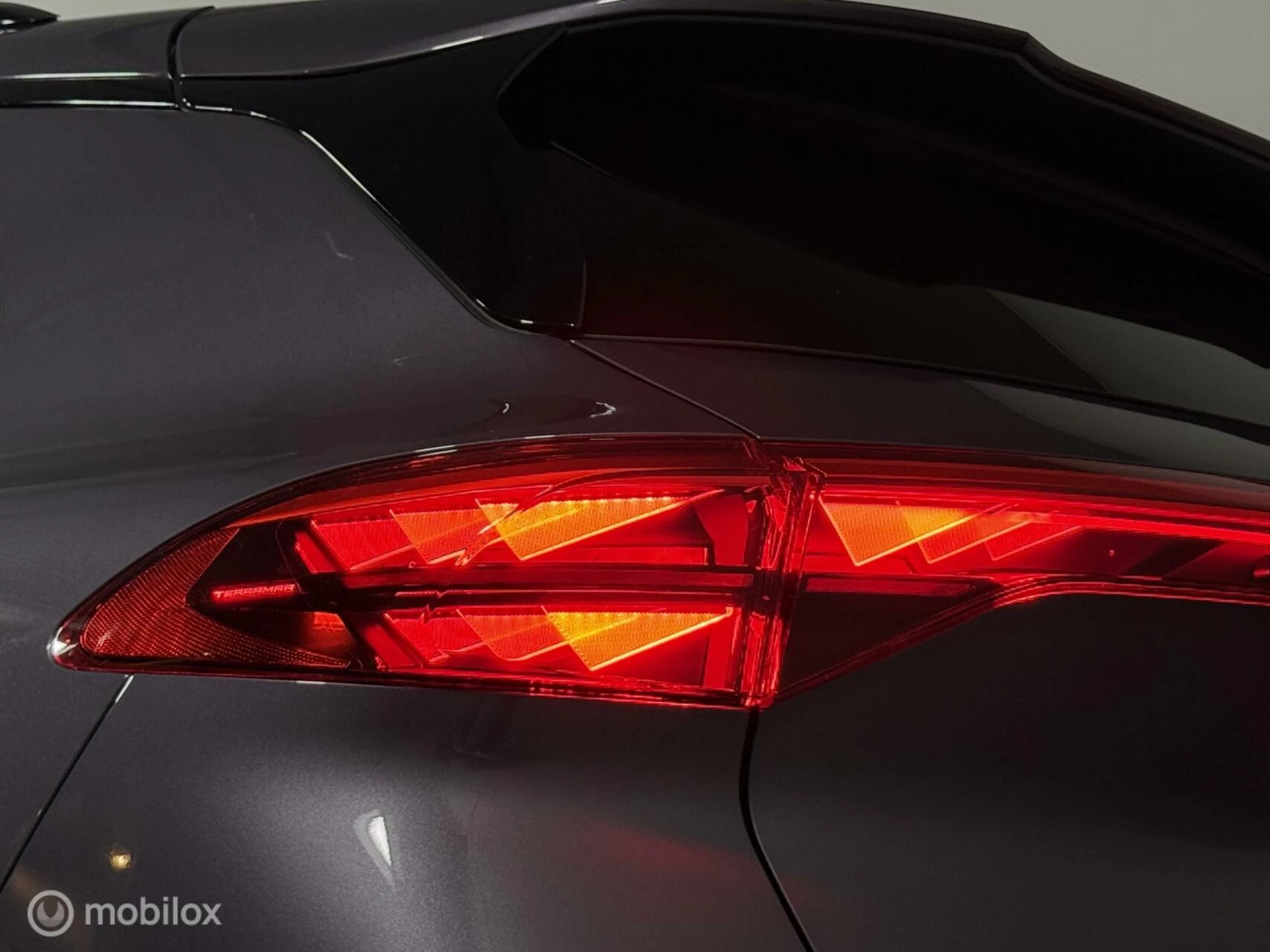 Hoofdafbeelding CUPRA Terramar