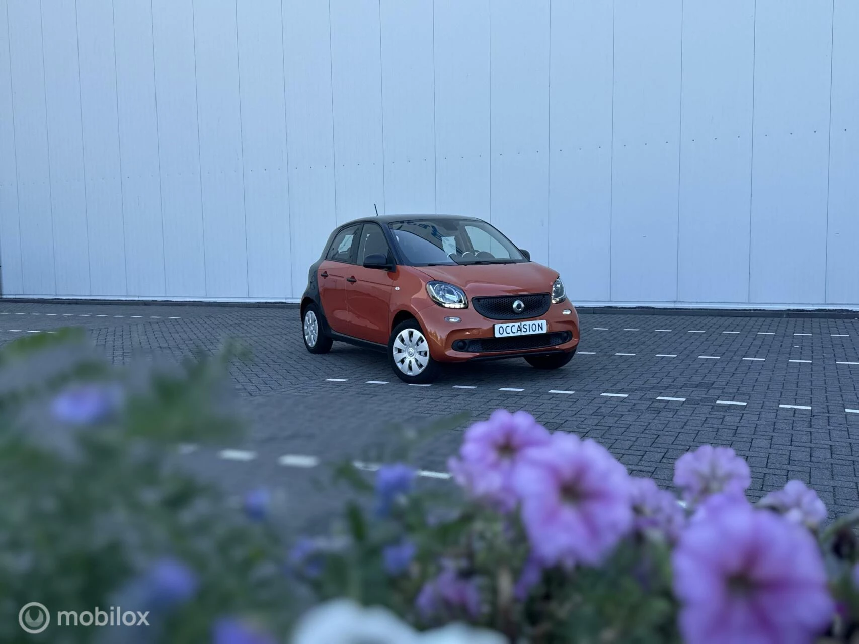 Hoofdafbeelding smart Forfour