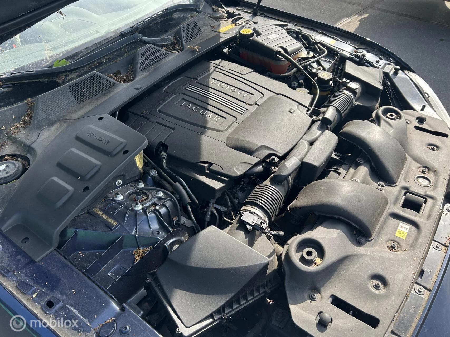 Hoofdafbeelding Jaguar XJ