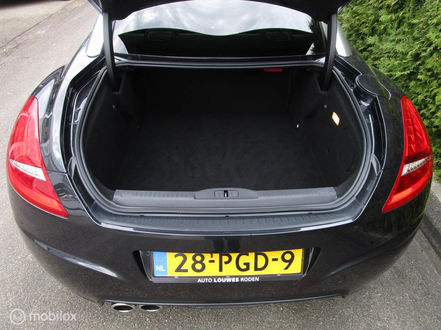 Hoofdafbeelding Peugeot RCZ