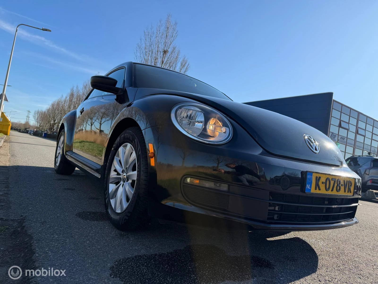 Hoofdafbeelding Volkswagen Beetle