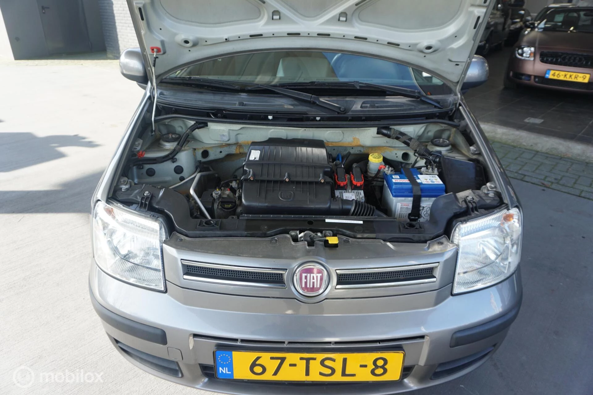 Hoofdafbeelding Fiat Panda