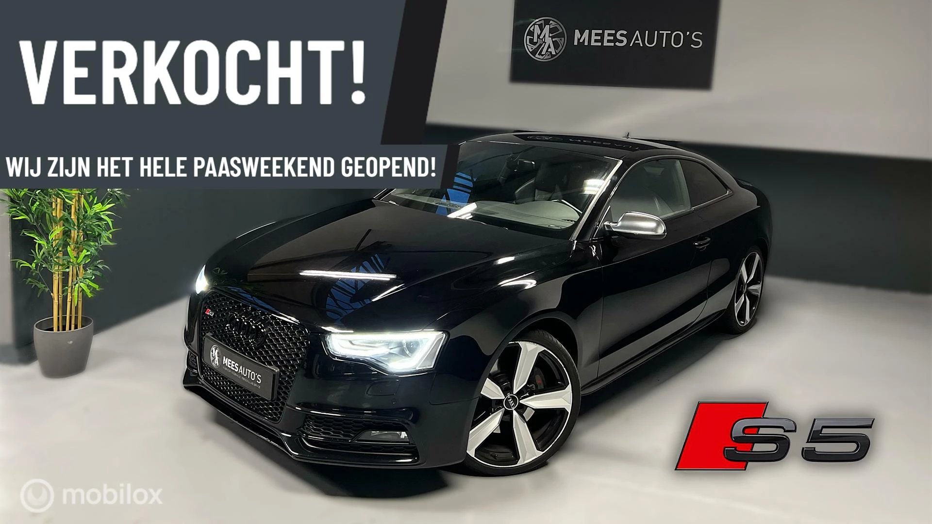 Hoofdafbeelding Audi S5