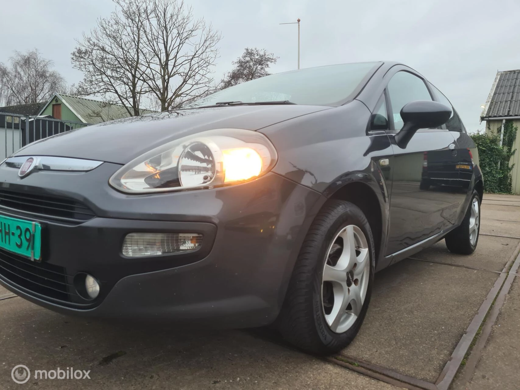 Hoofdafbeelding Fiat Punto