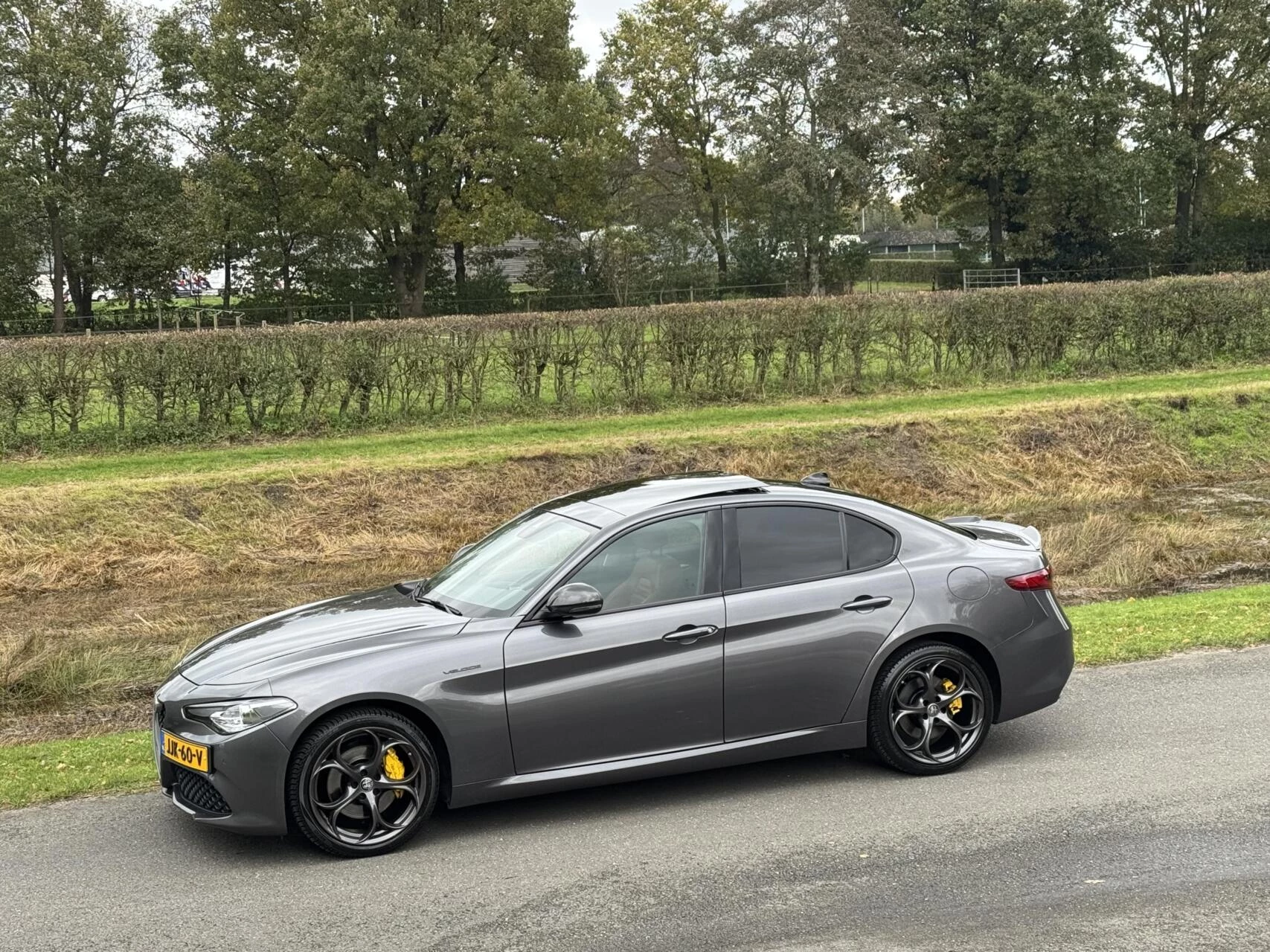 Hoofdafbeelding Alfa Romeo Giulia