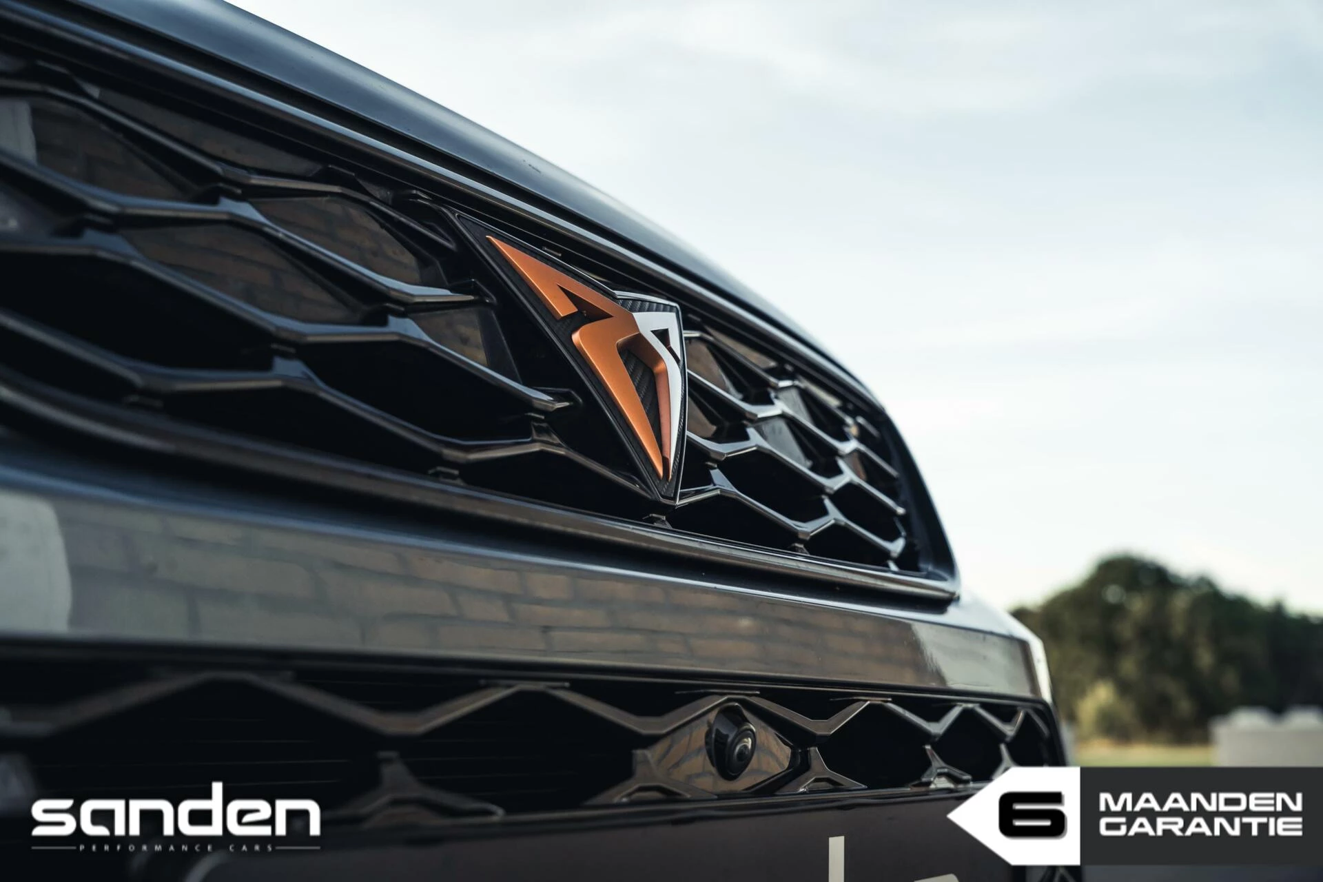 Hoofdafbeelding CUPRA Ateca
