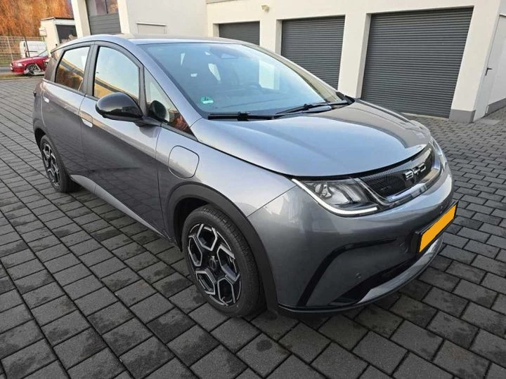 Hoofdafbeelding BYD DOLPHIN