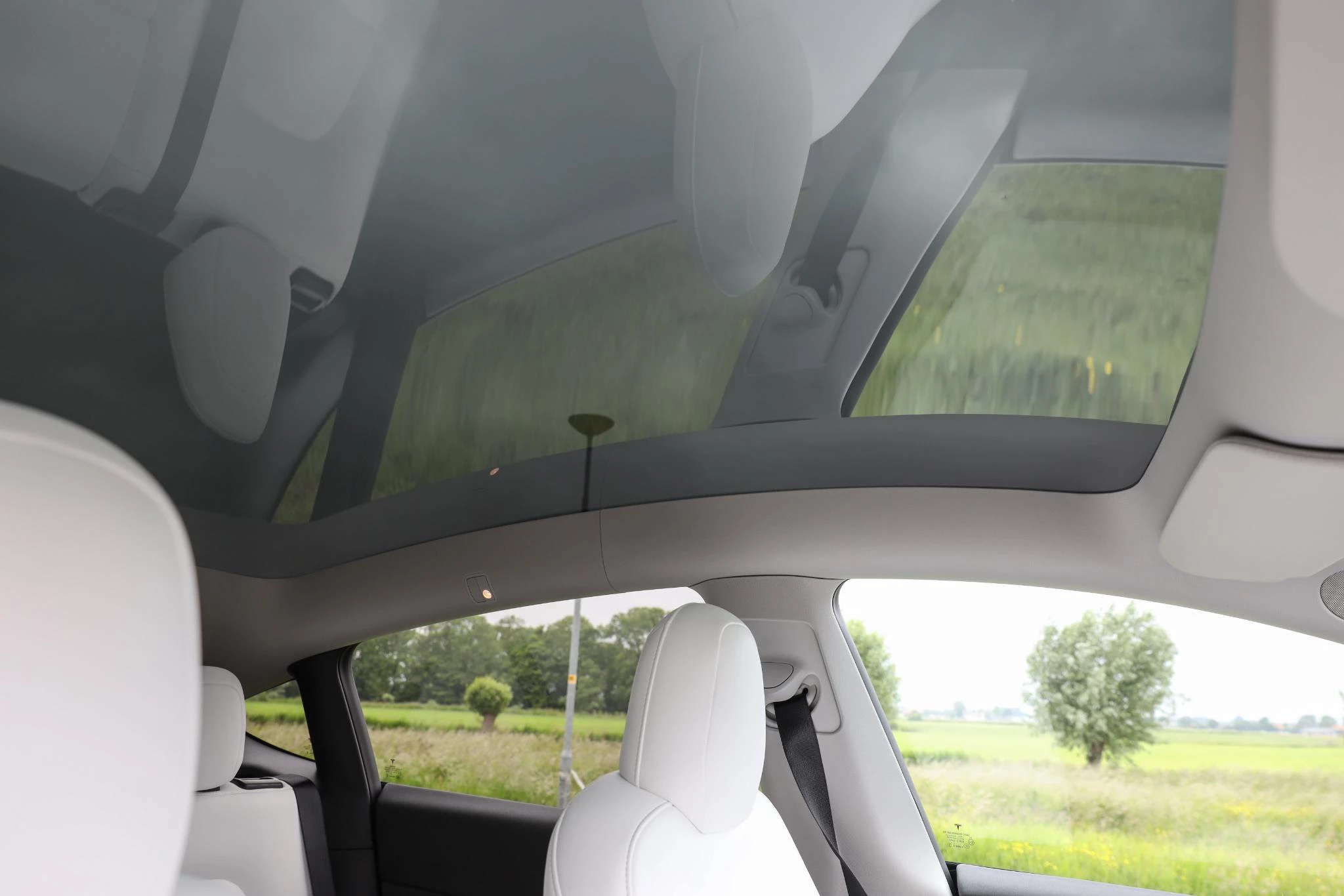 Hoofdafbeelding Tesla Model Y