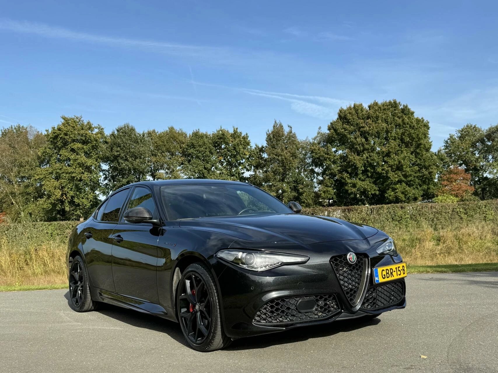 Hoofdafbeelding Alfa Romeo Giulia