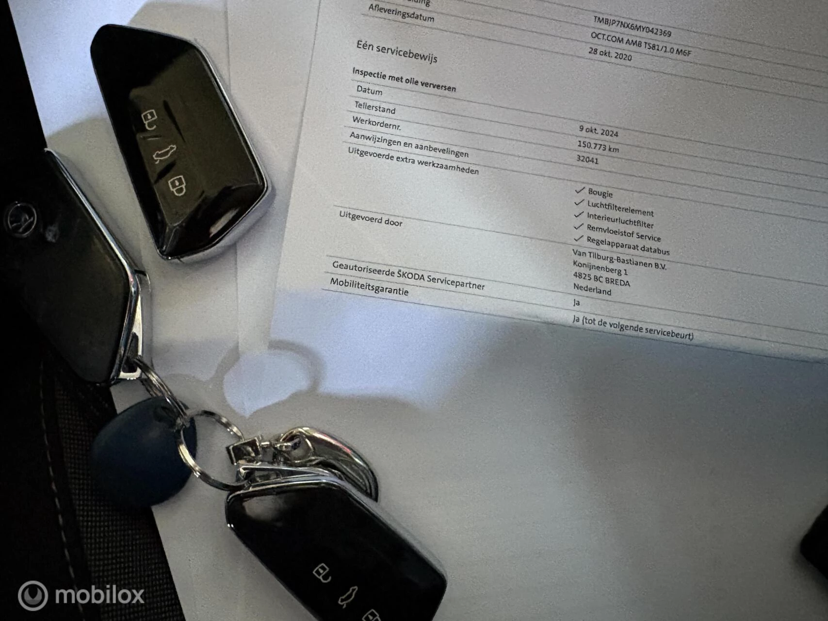 Hoofdafbeelding Škoda Octavia