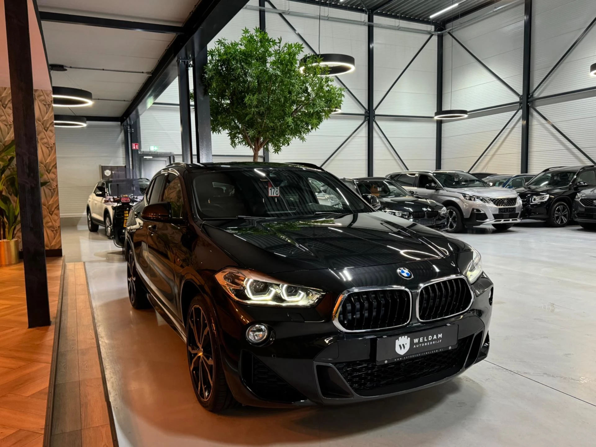Hoofdafbeelding BMW X2