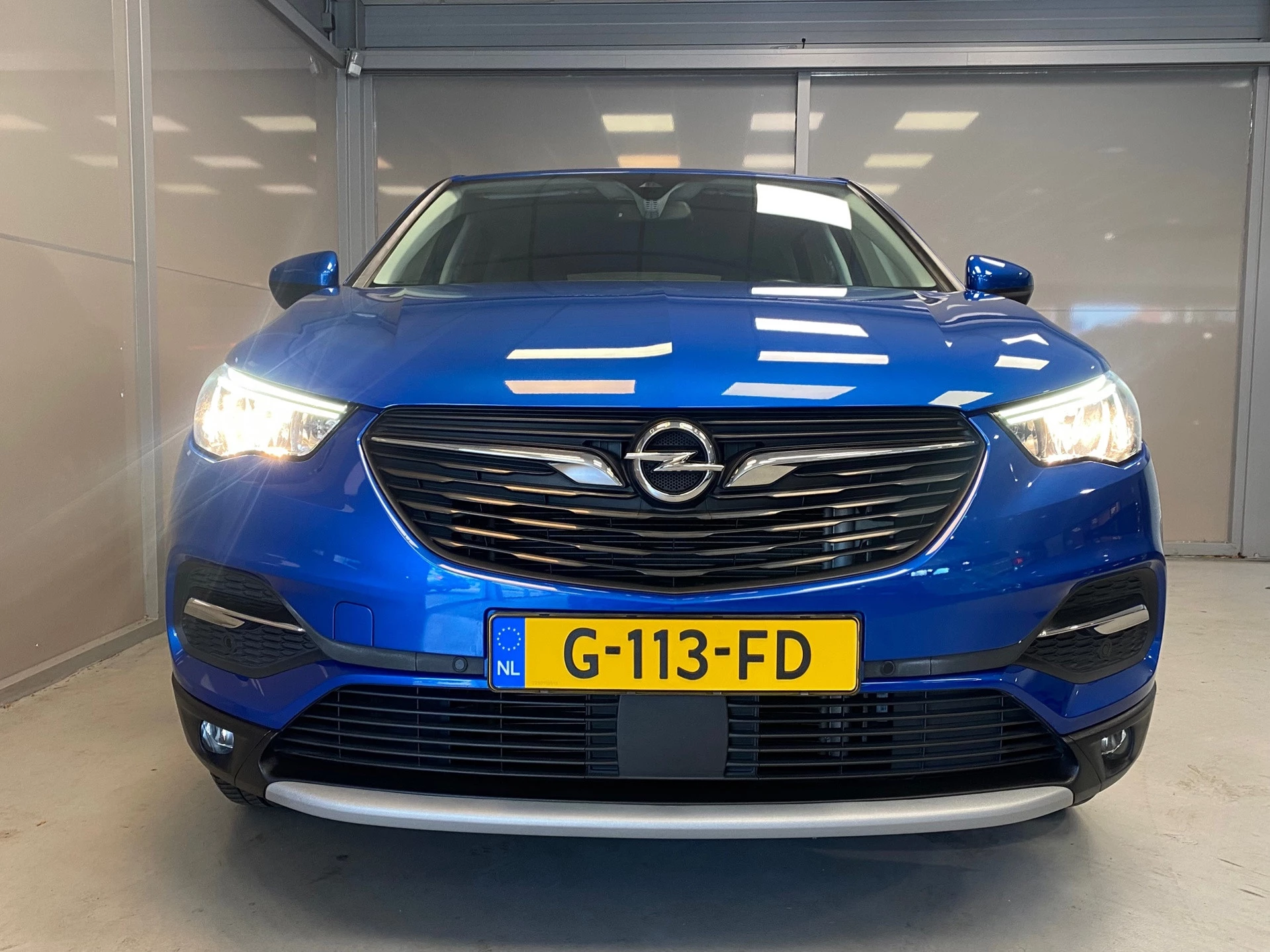 Hoofdafbeelding Opel Grandland X