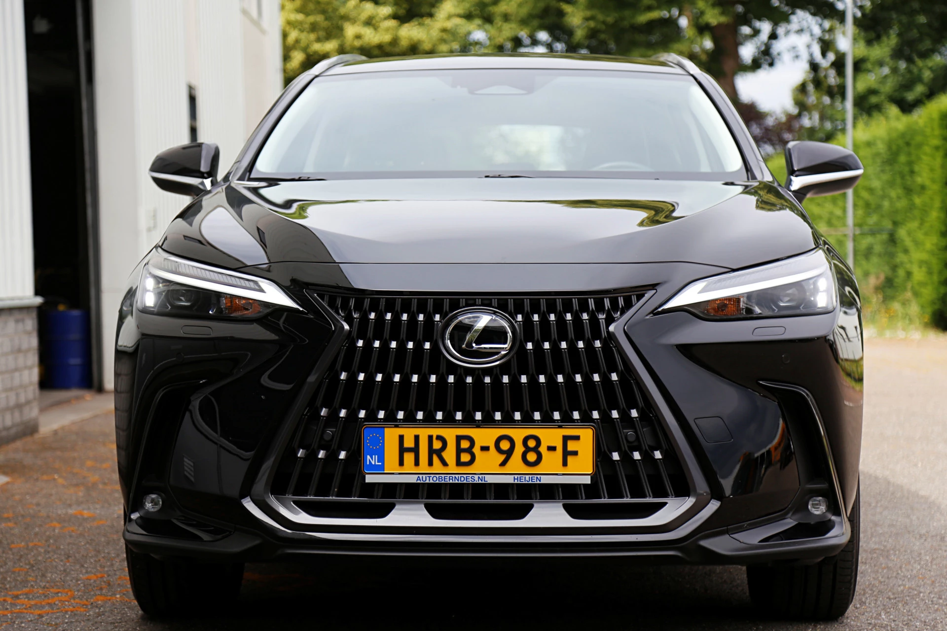 Hoofdafbeelding Lexus NX