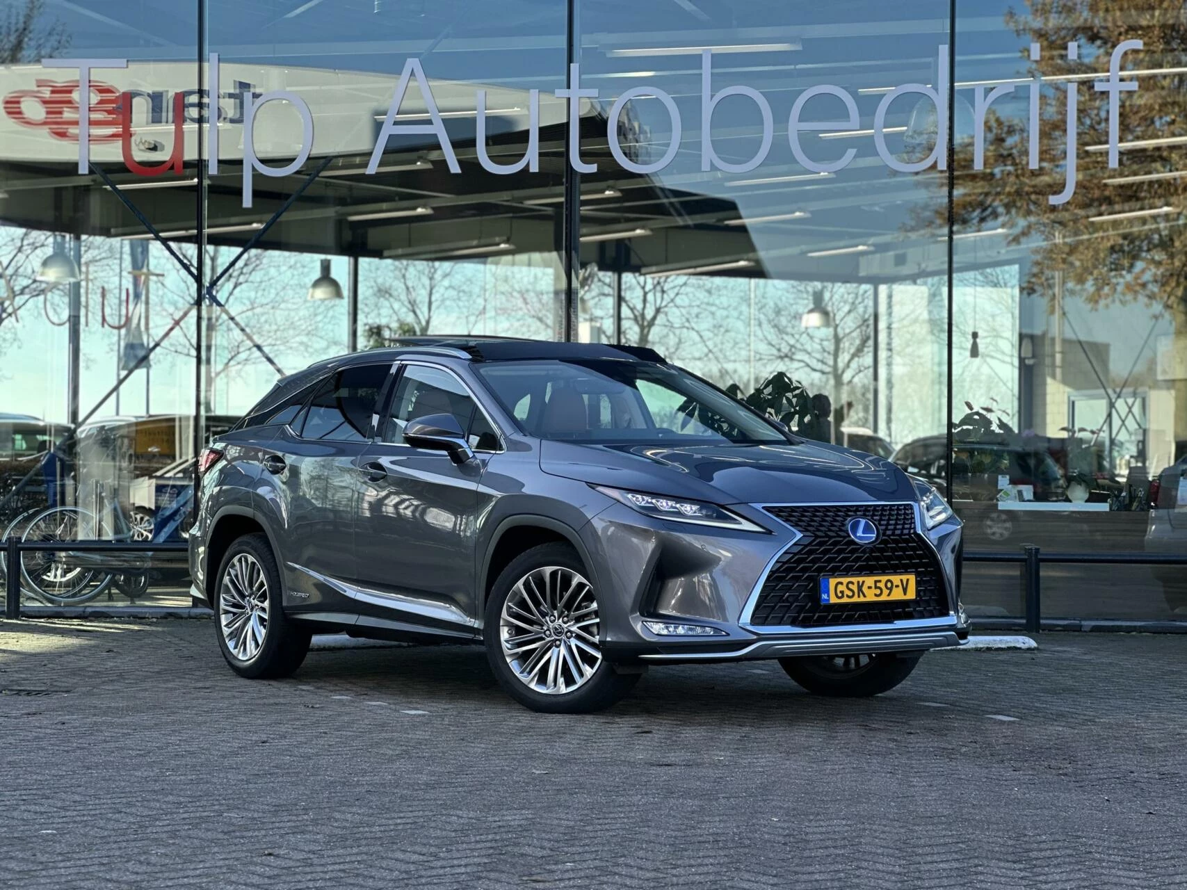 Hoofdafbeelding Lexus RX