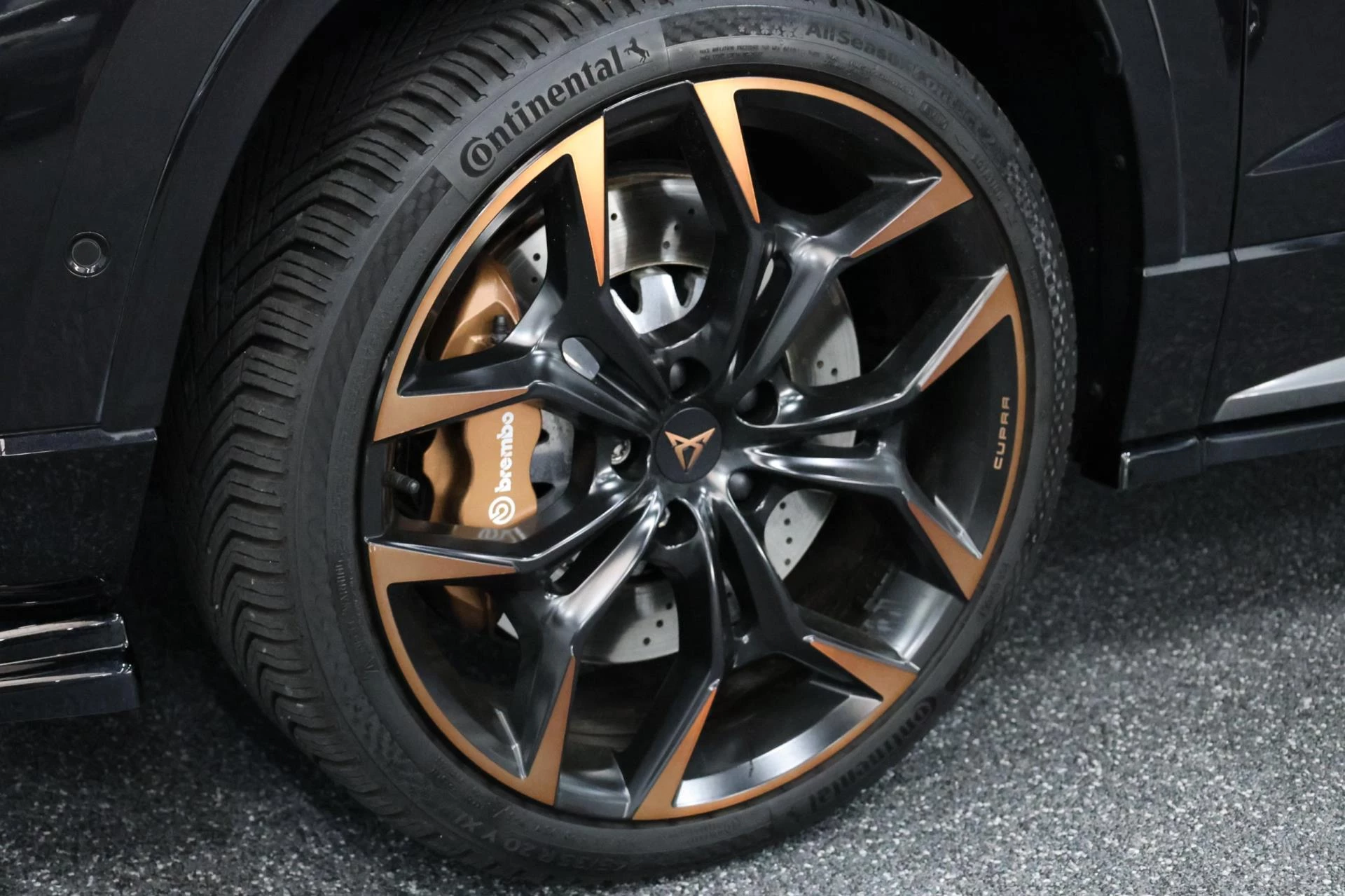 Hoofdafbeelding CUPRA Ateca