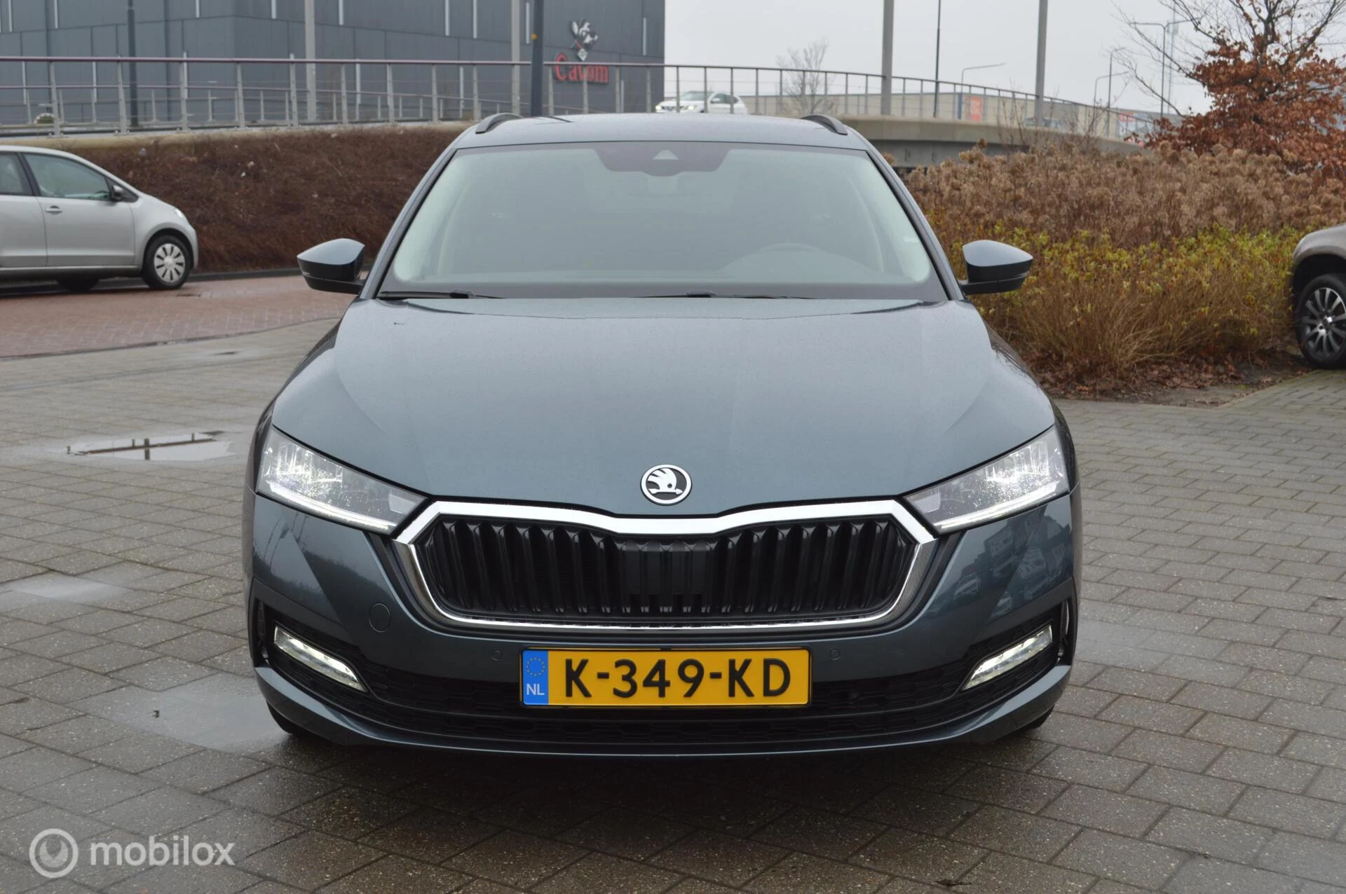 Hoofdafbeelding Škoda Octavia