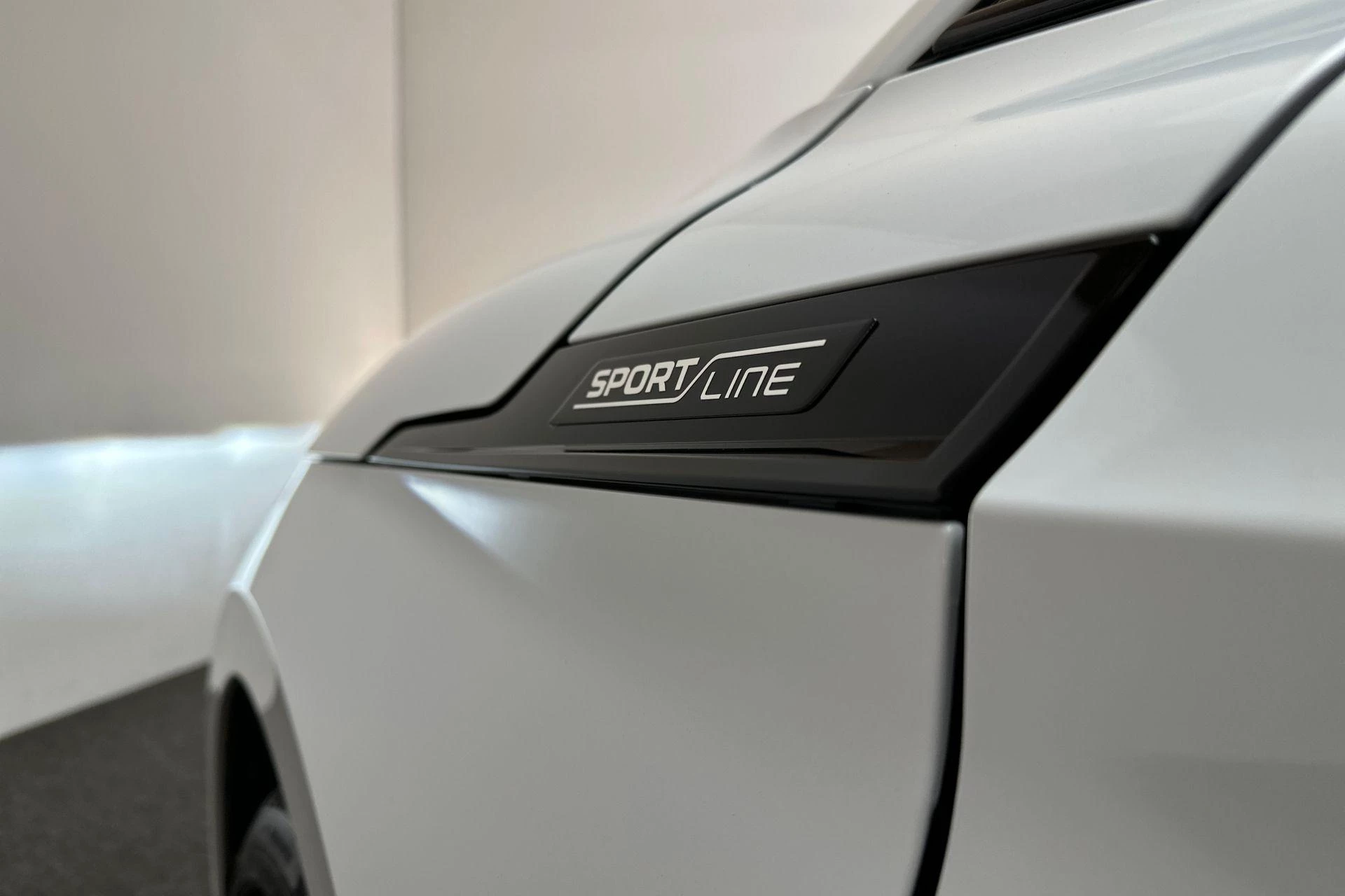 Hoofdafbeelding Škoda Enyaq iV