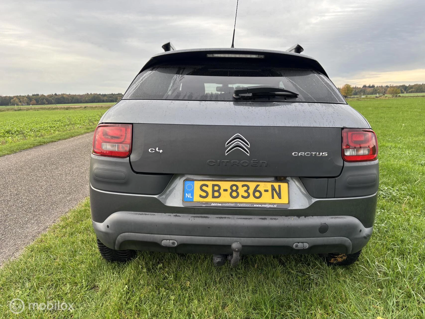 Hoofdafbeelding Citroën C4 Cactus