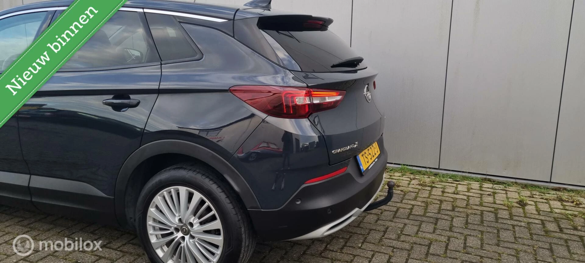 Hoofdafbeelding Opel Grandland X