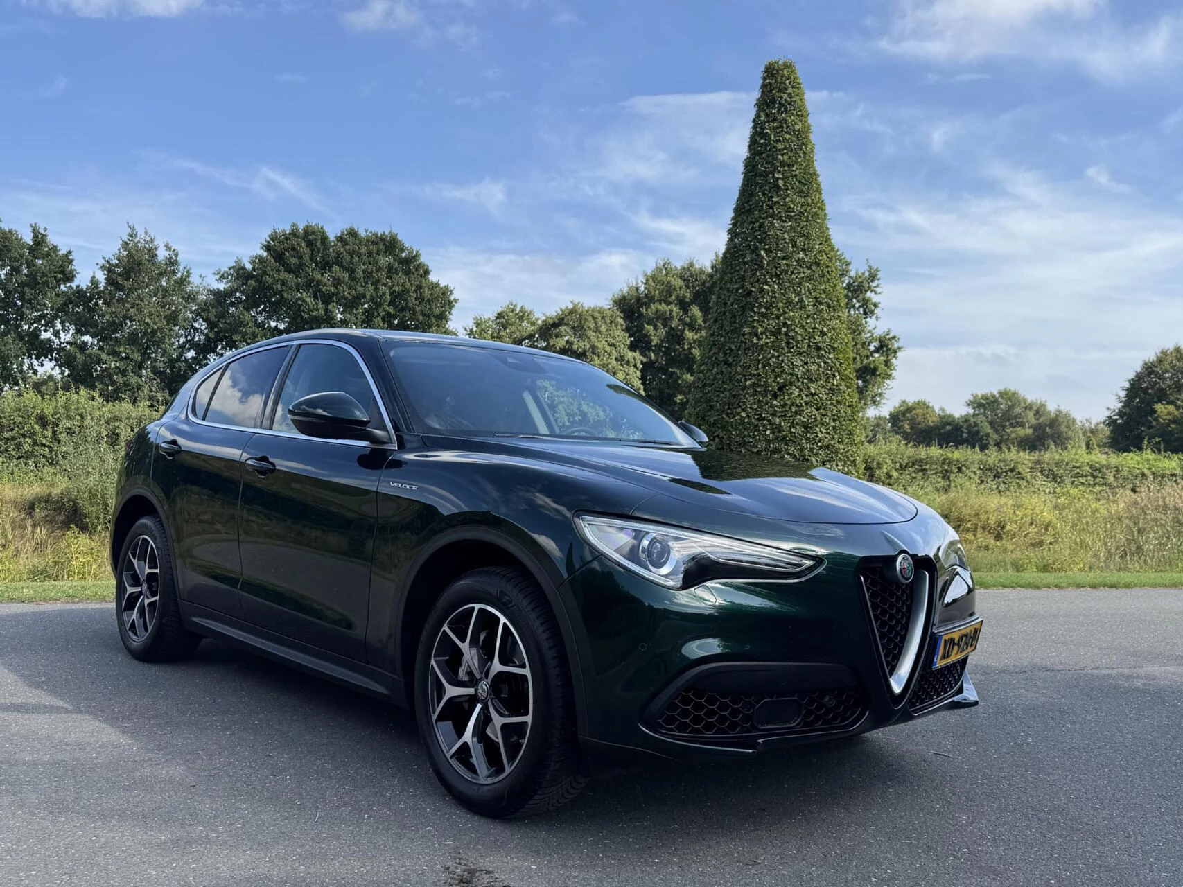 Hoofdafbeelding Alfa Romeo Stelvio