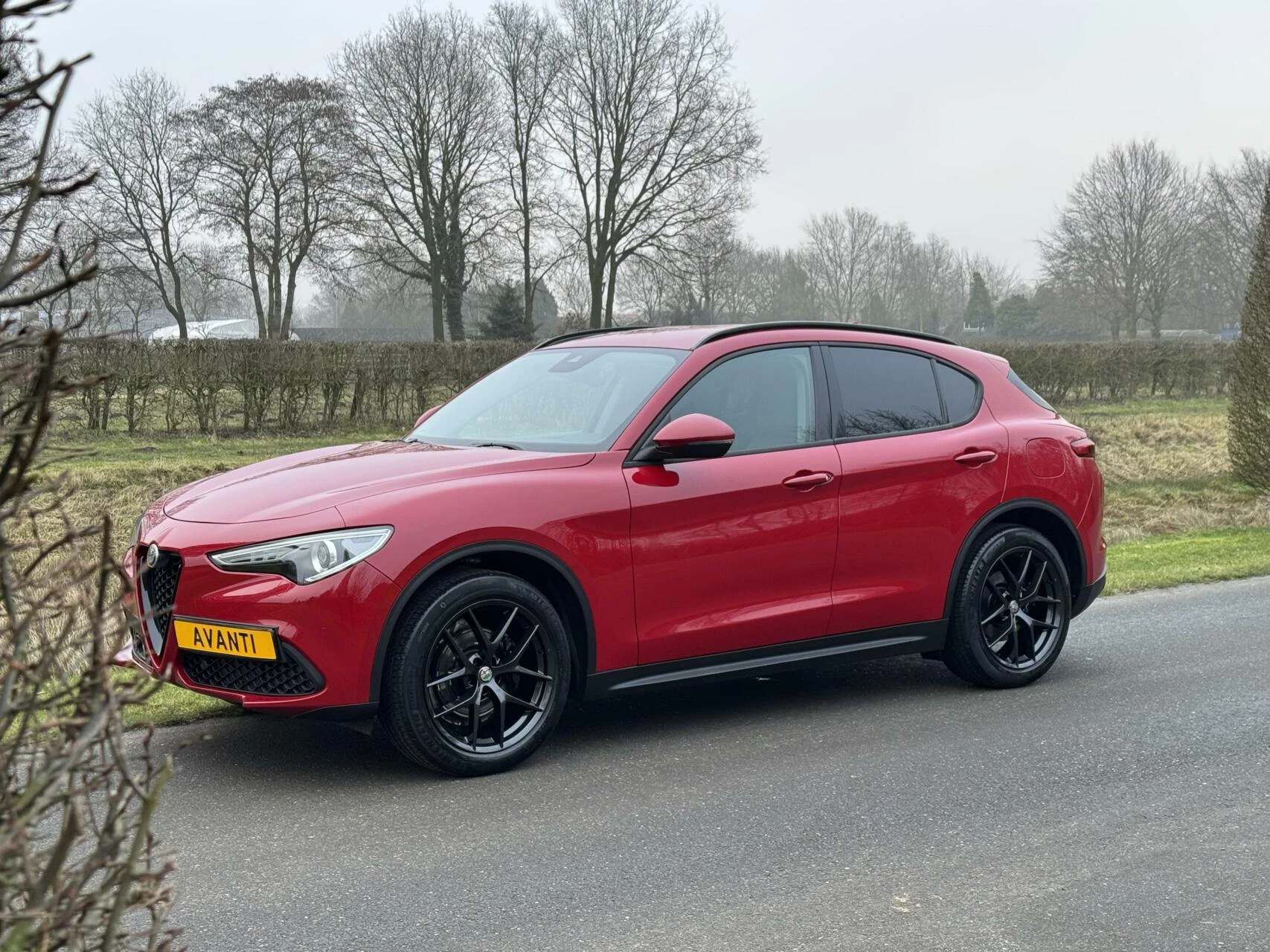 Hoofdafbeelding Alfa Romeo Stelvio