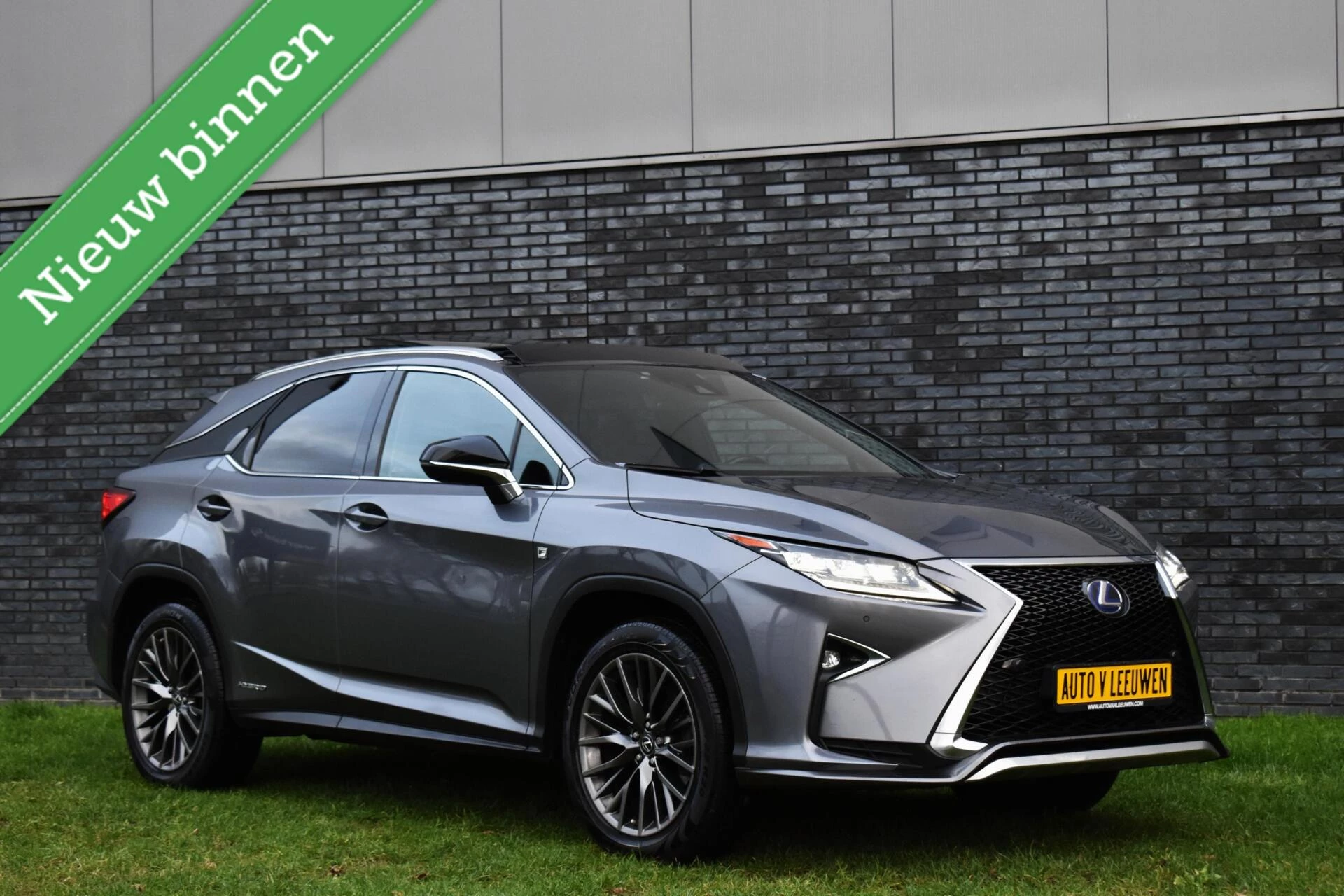 Hoofdafbeelding Lexus RX