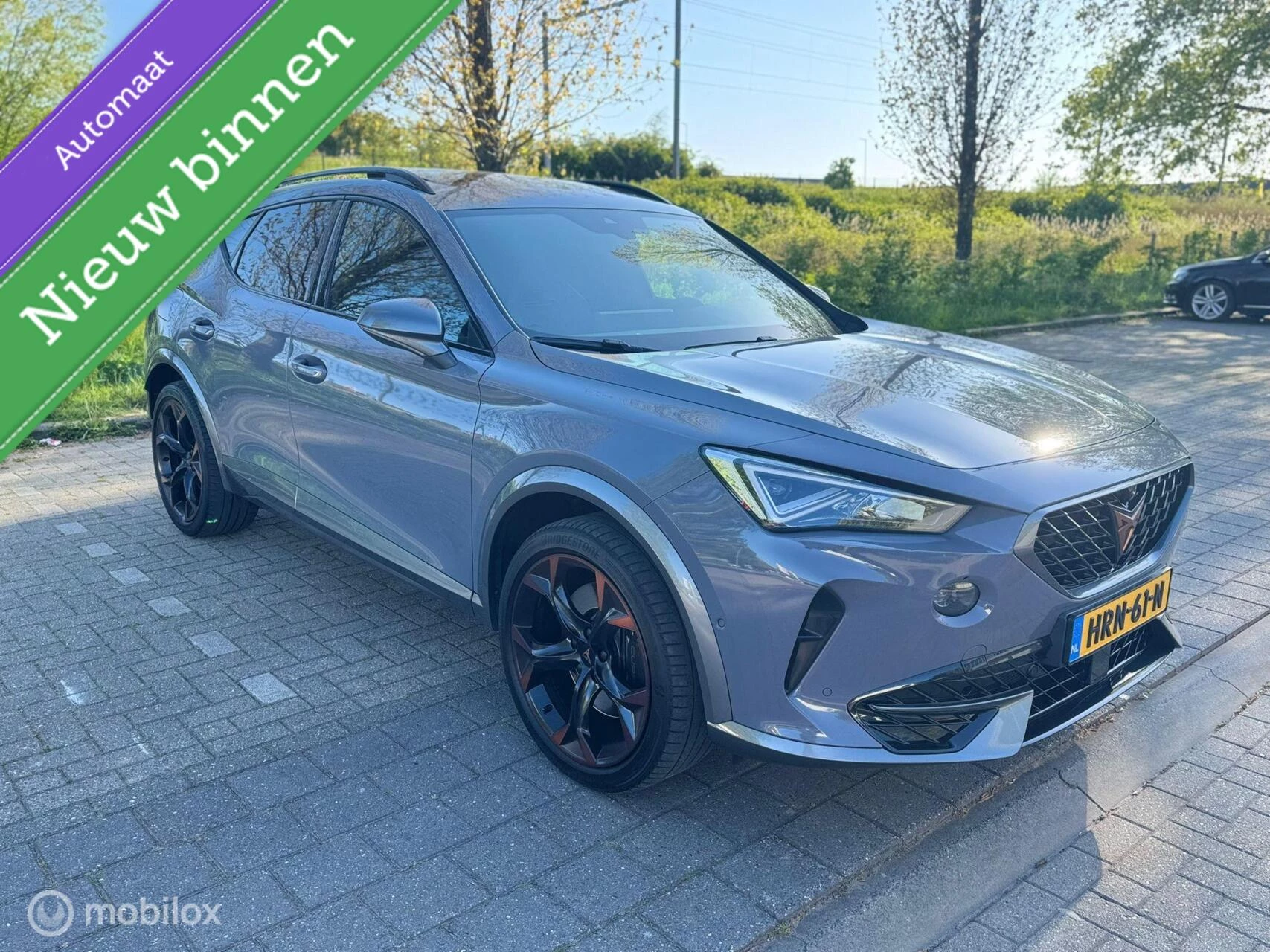 Hoofdafbeelding CUPRA Formentor