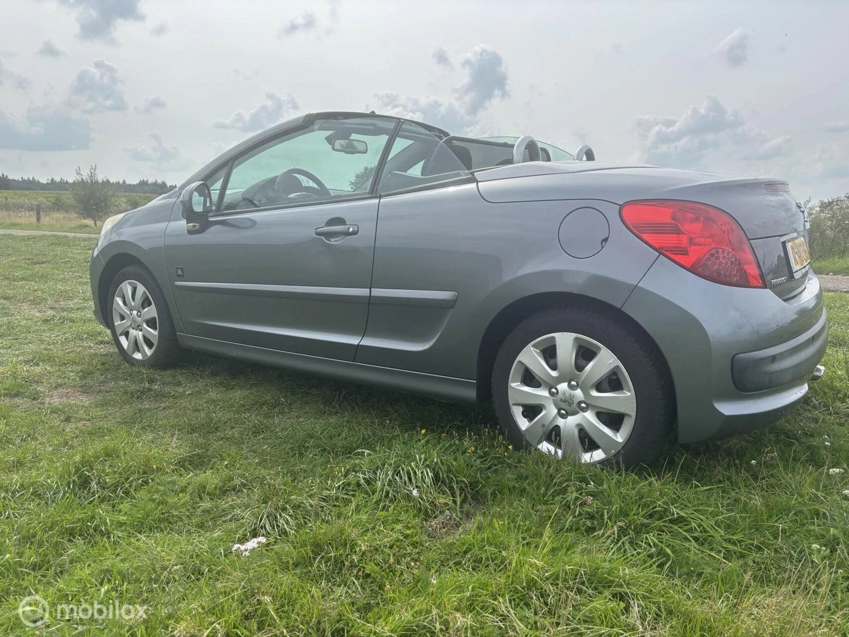 Hoofdafbeelding Peugeot 207