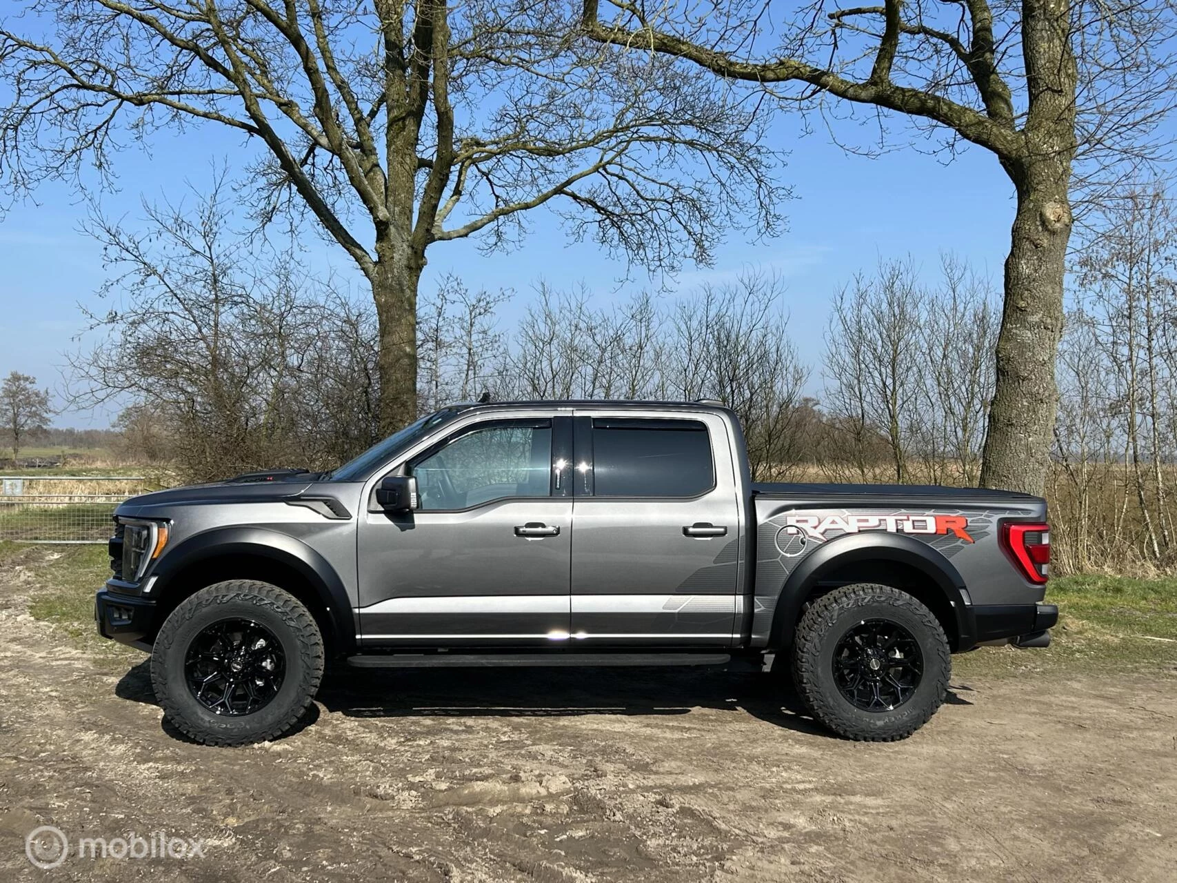Hoofdafbeelding Ford F-150