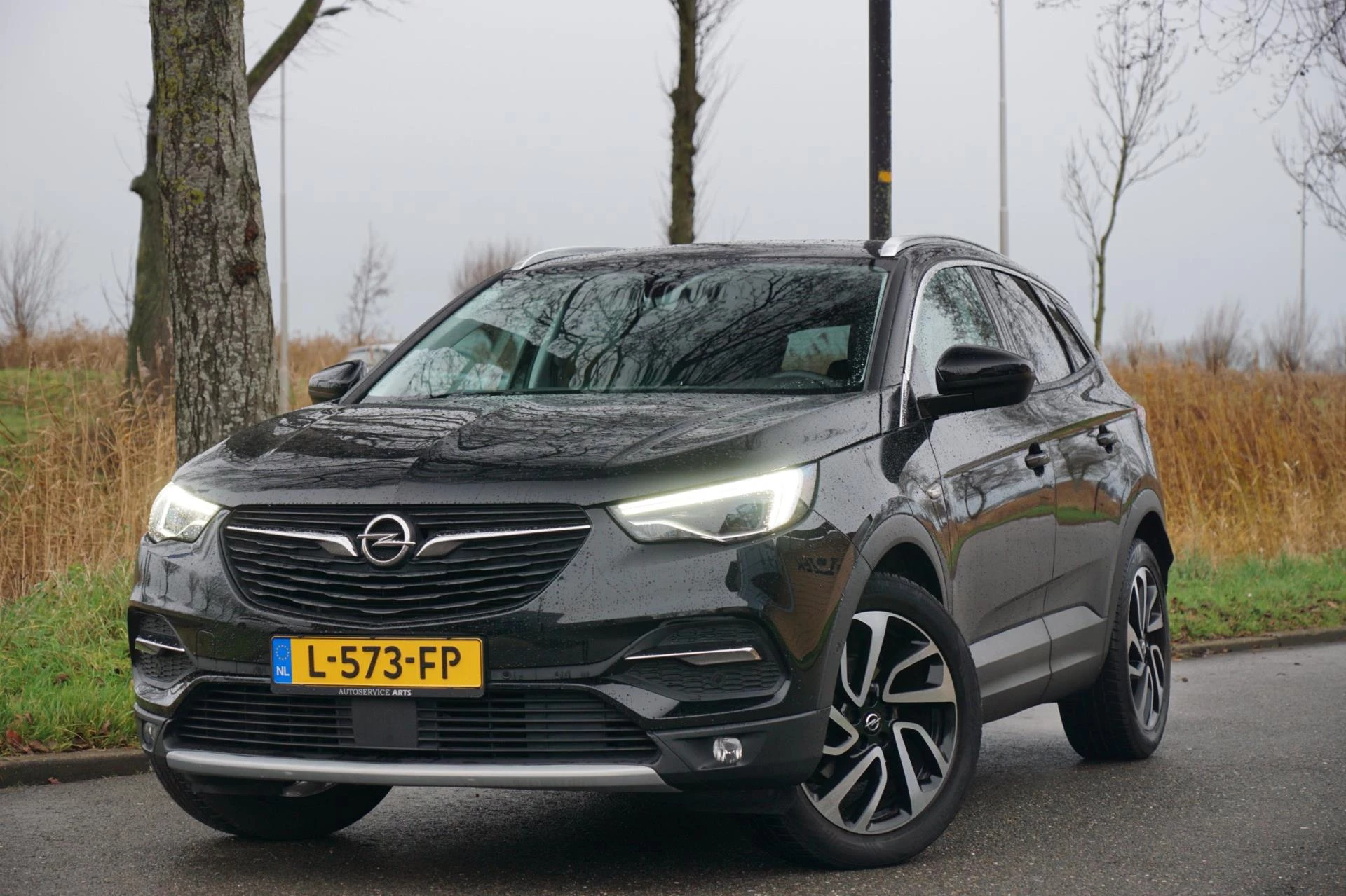 Hoofdafbeelding Opel Grandland X