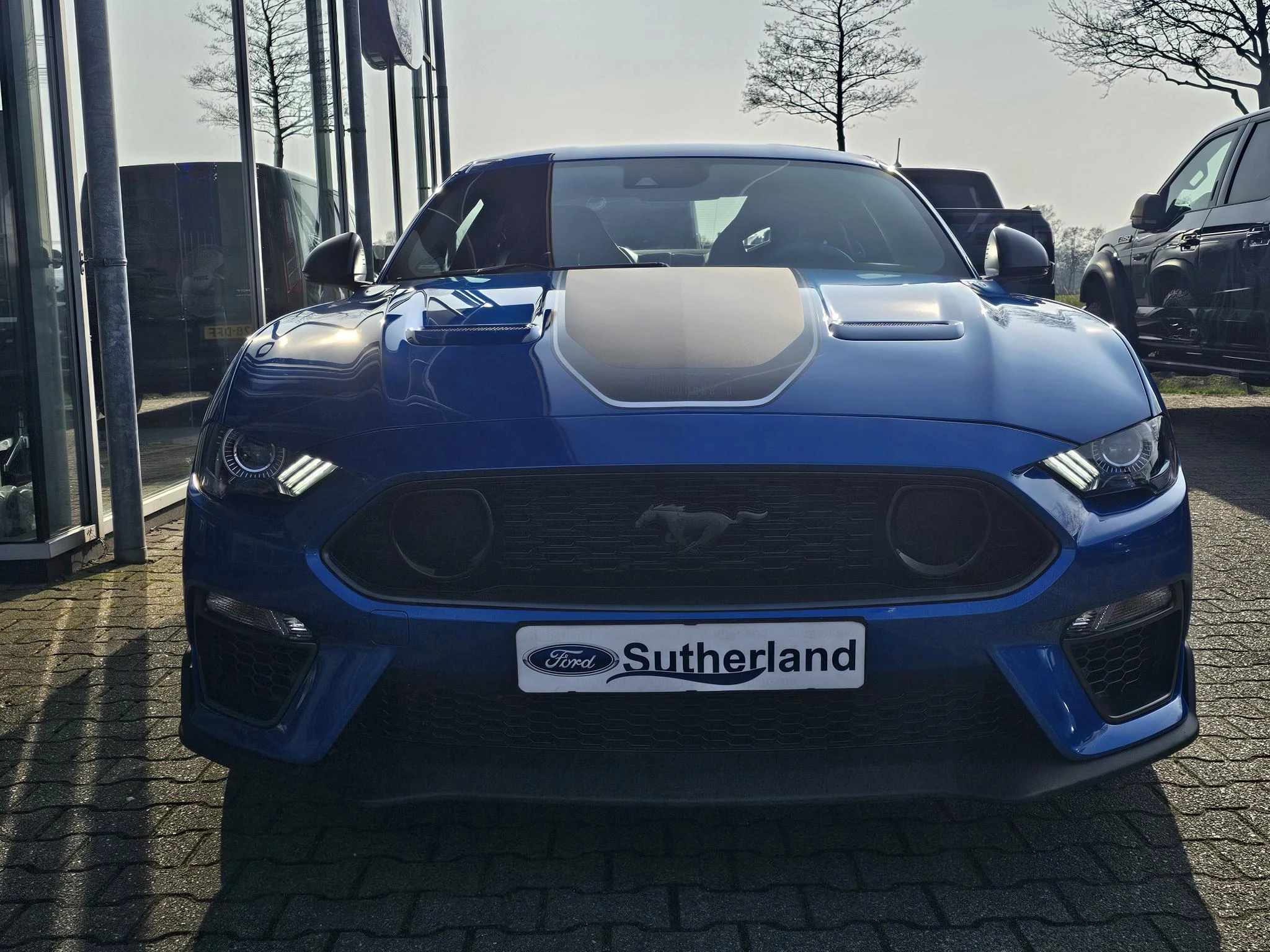 Hoofdafbeelding Ford Mustang