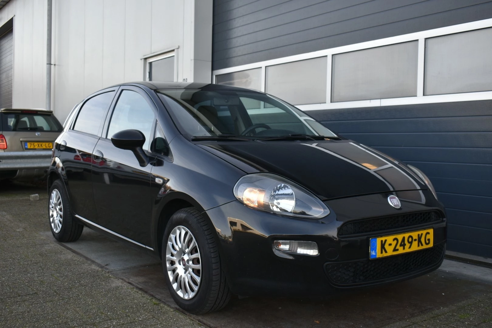 Hoofdafbeelding Fiat Punto