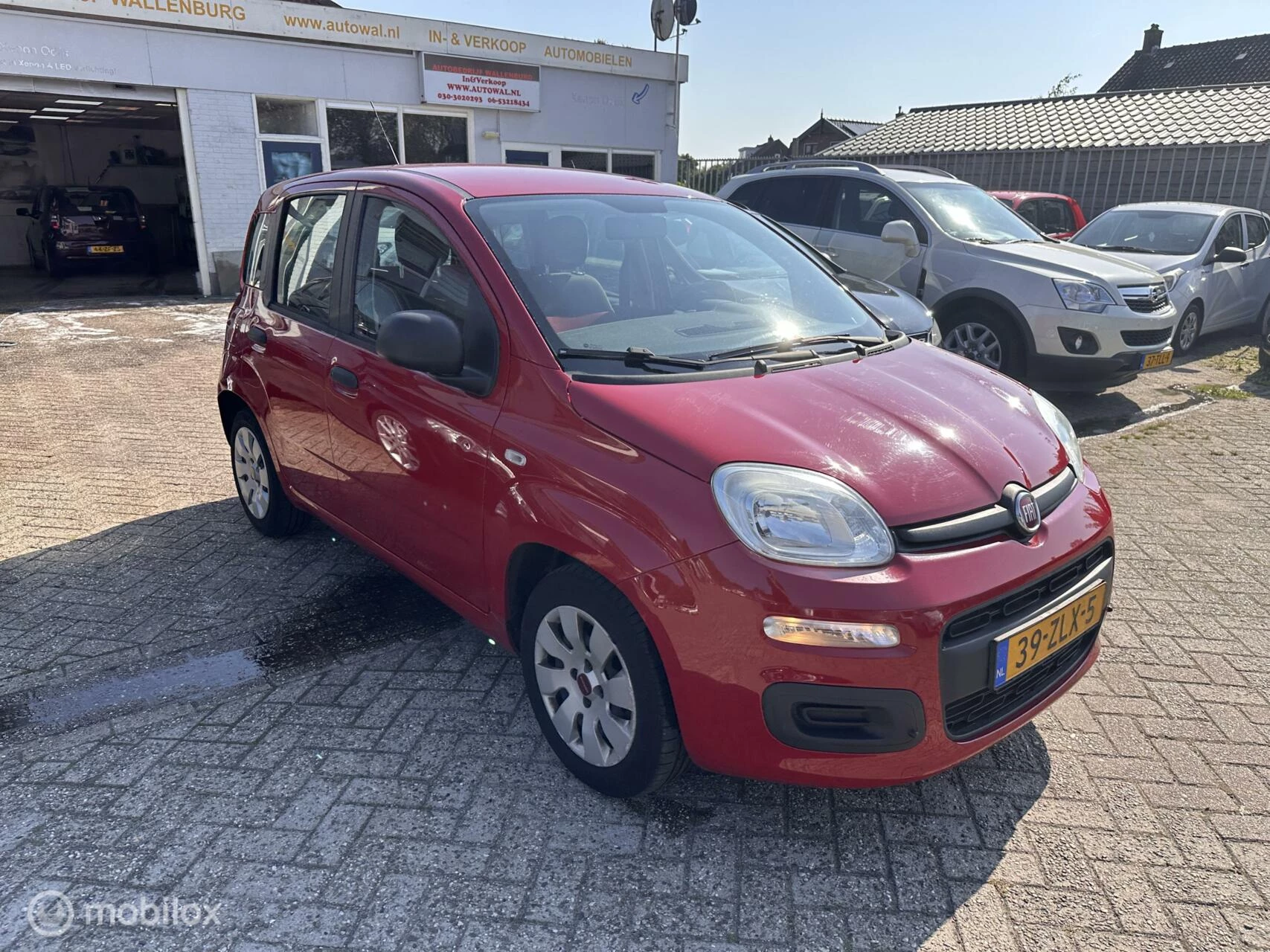 Hoofdafbeelding Fiat Panda