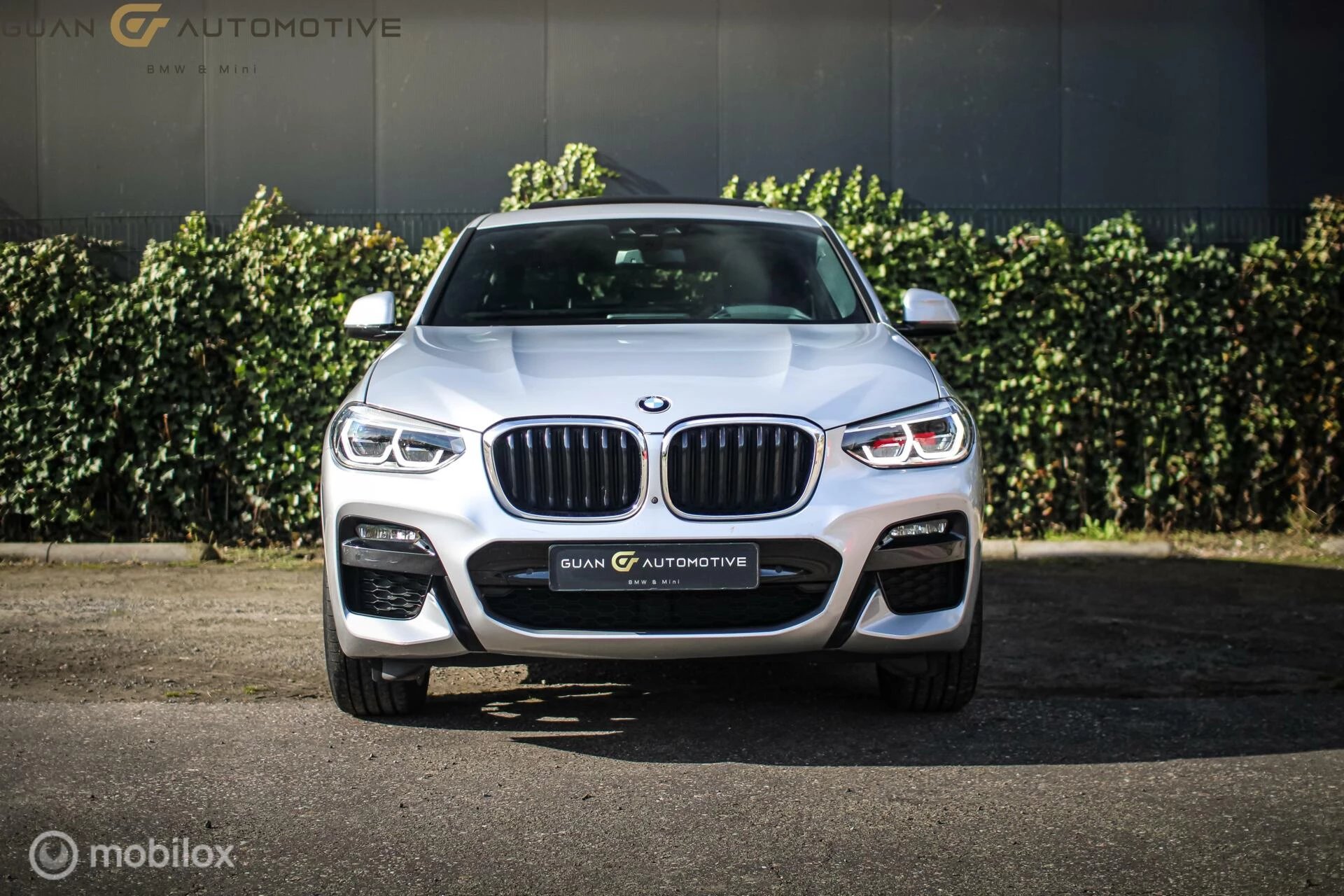 Hoofdafbeelding BMW X4