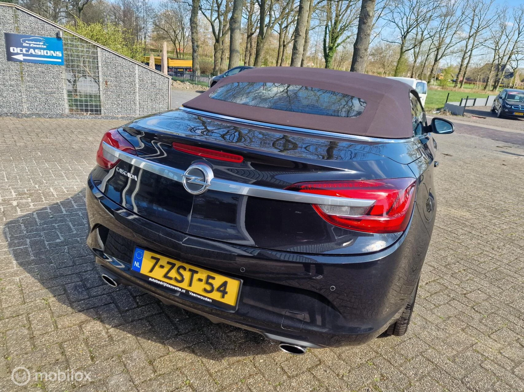 Hoofdafbeelding Opel Cascada