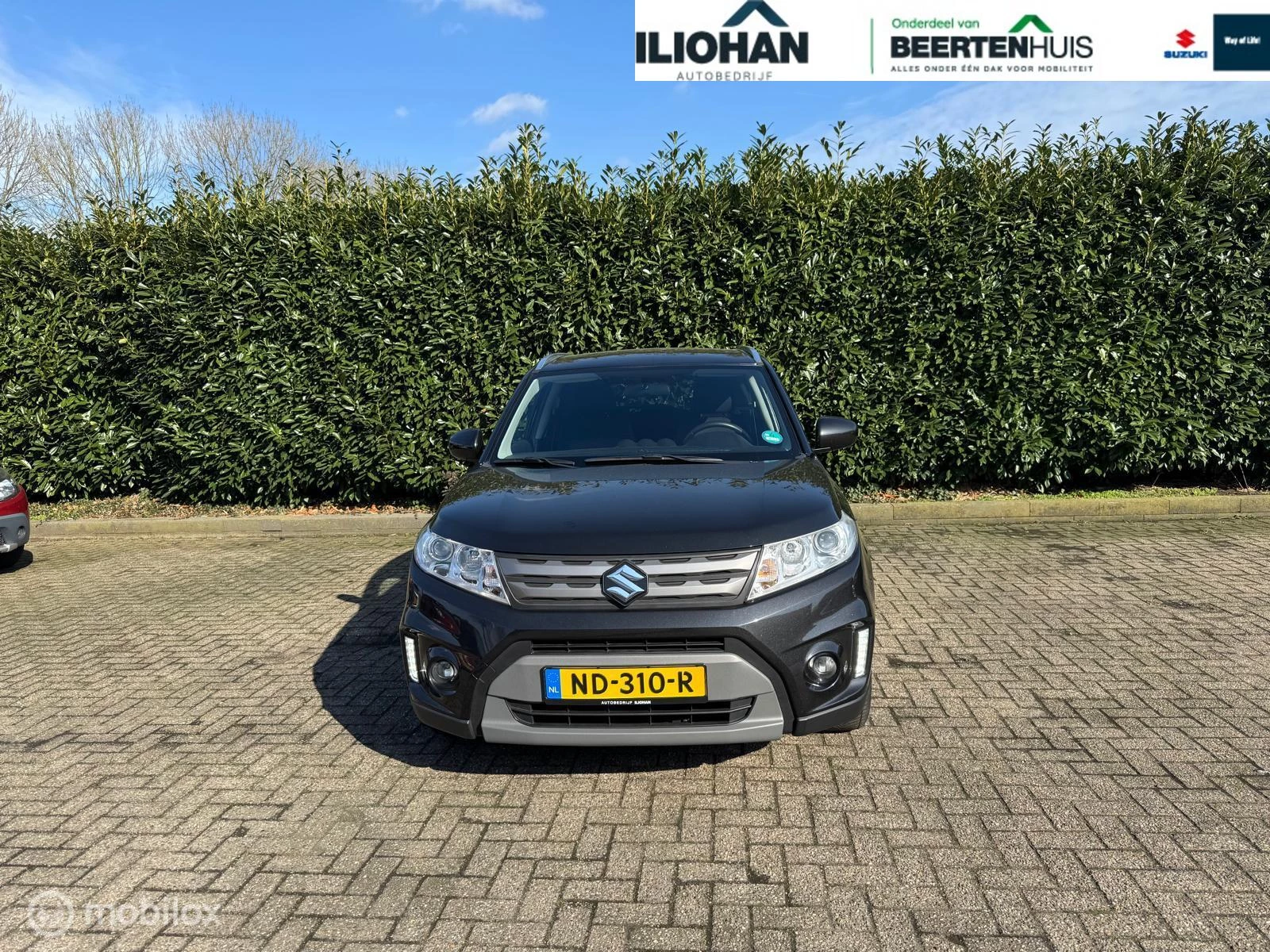 Hoofdafbeelding Suzuki Vitara