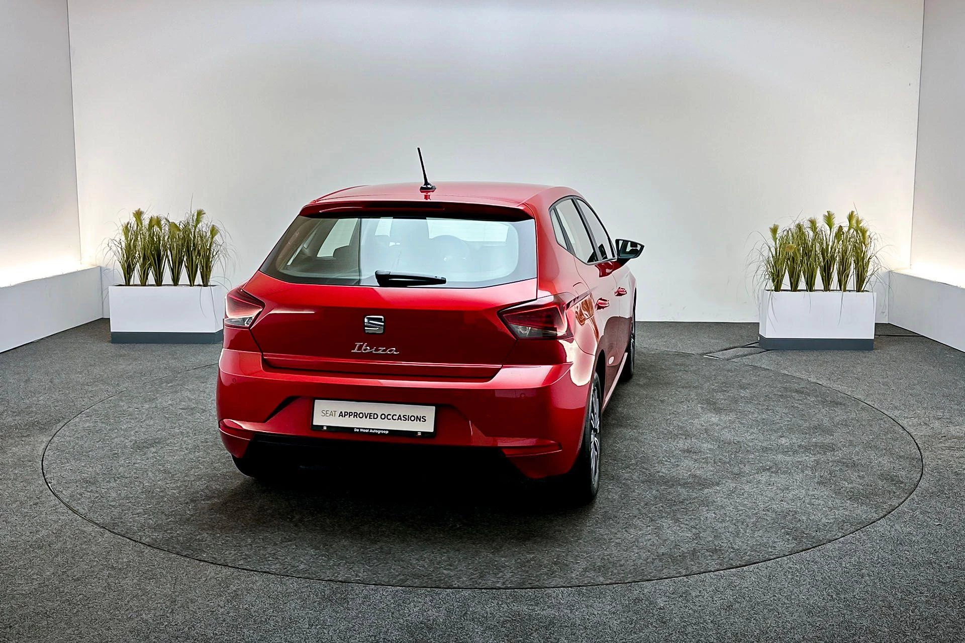 Hoofdafbeelding SEAT Ibiza