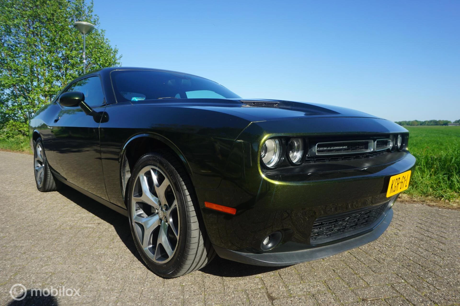 Hoofdafbeelding Dodge Challenger