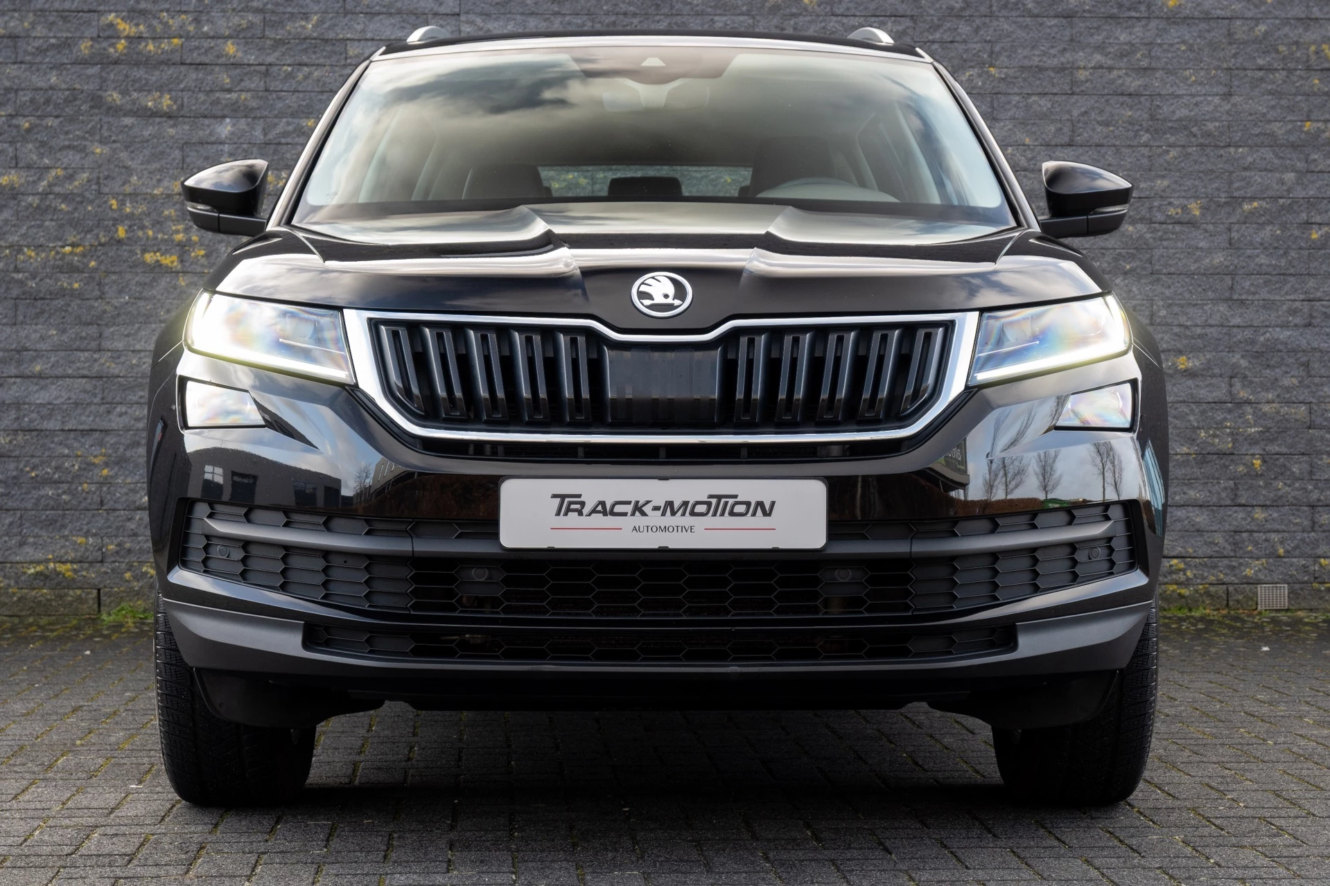 Hoofdafbeelding Škoda Kodiaq